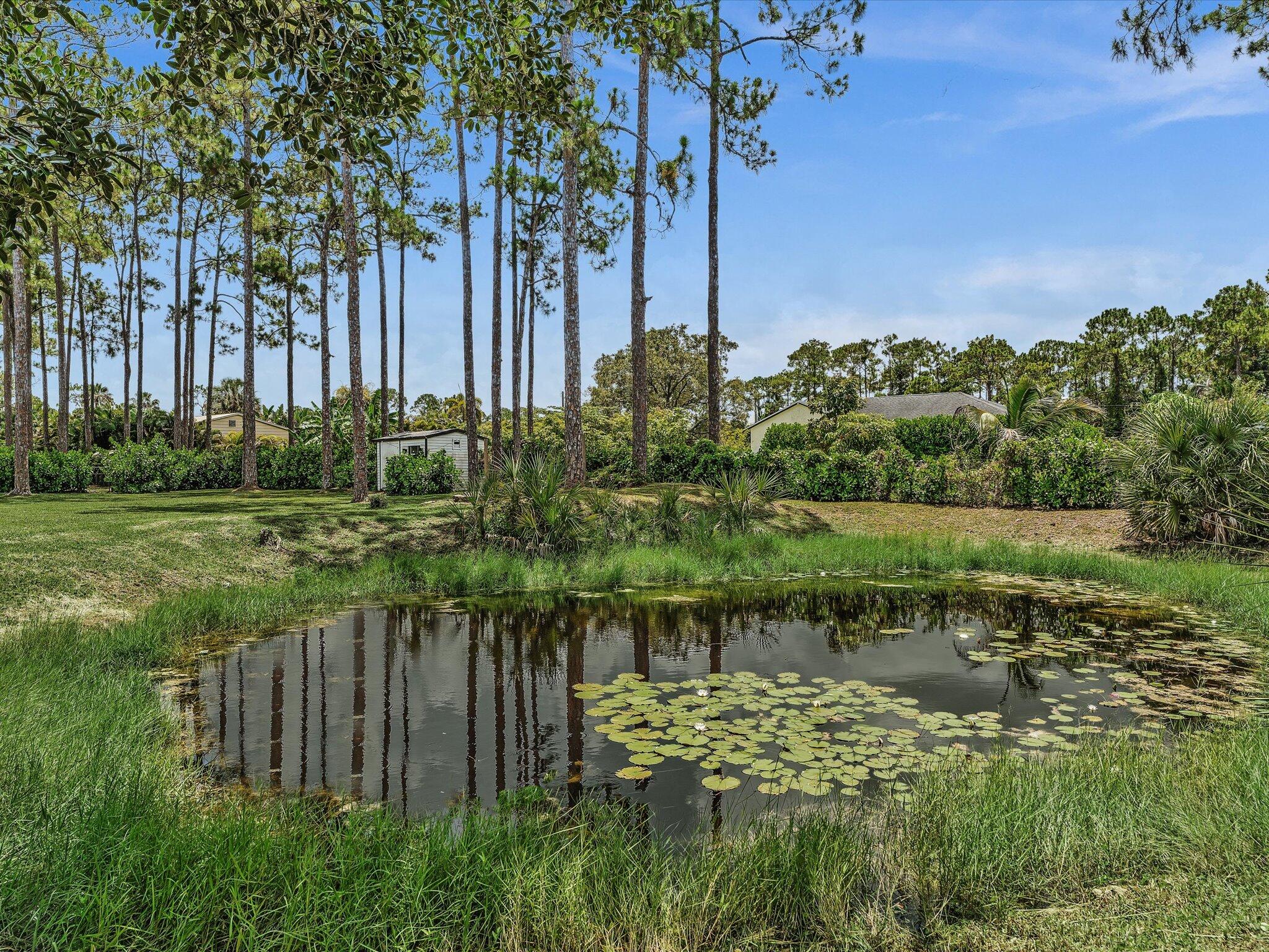 The Acreage - Residential