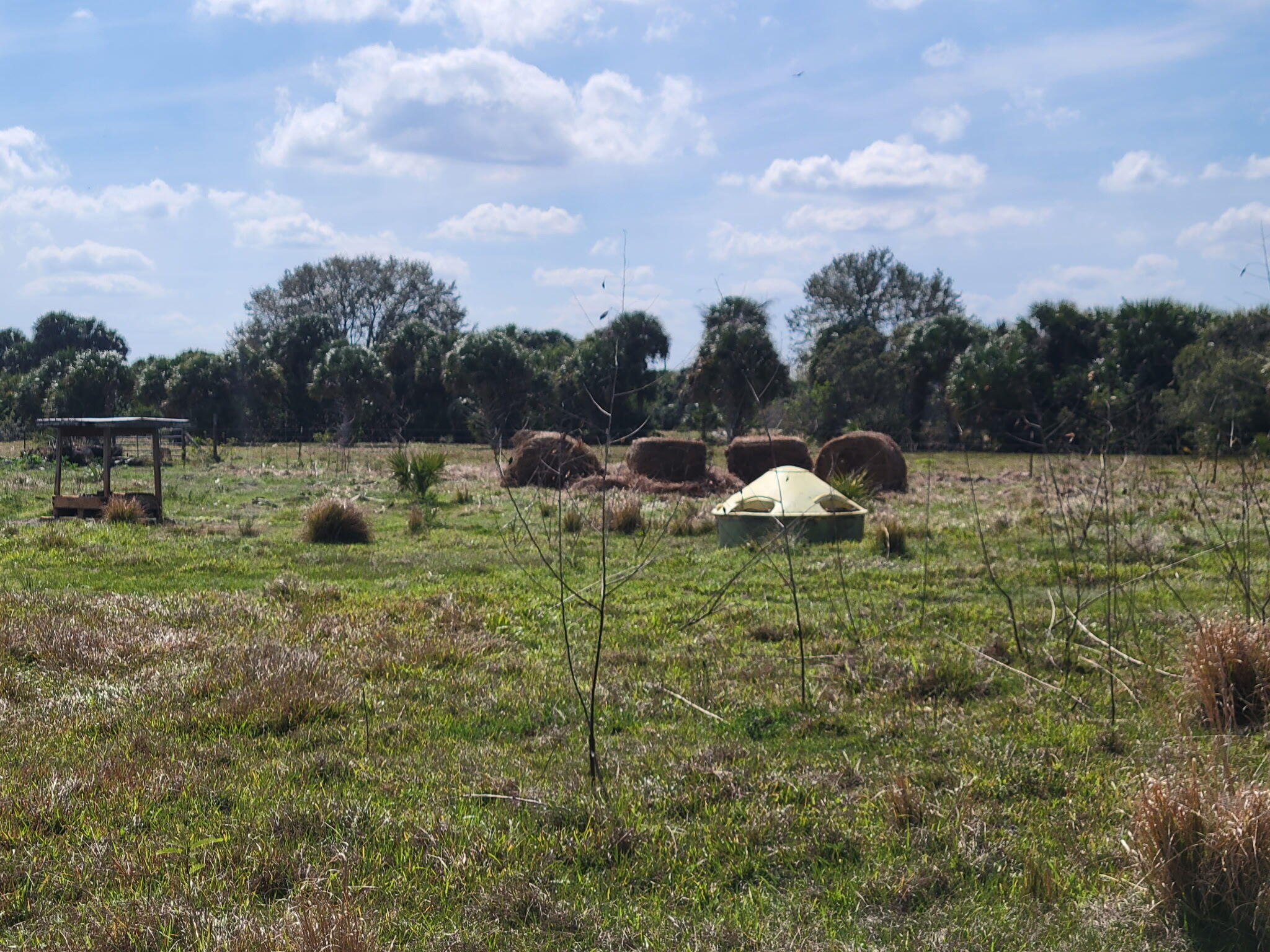 cabbage woods - Land