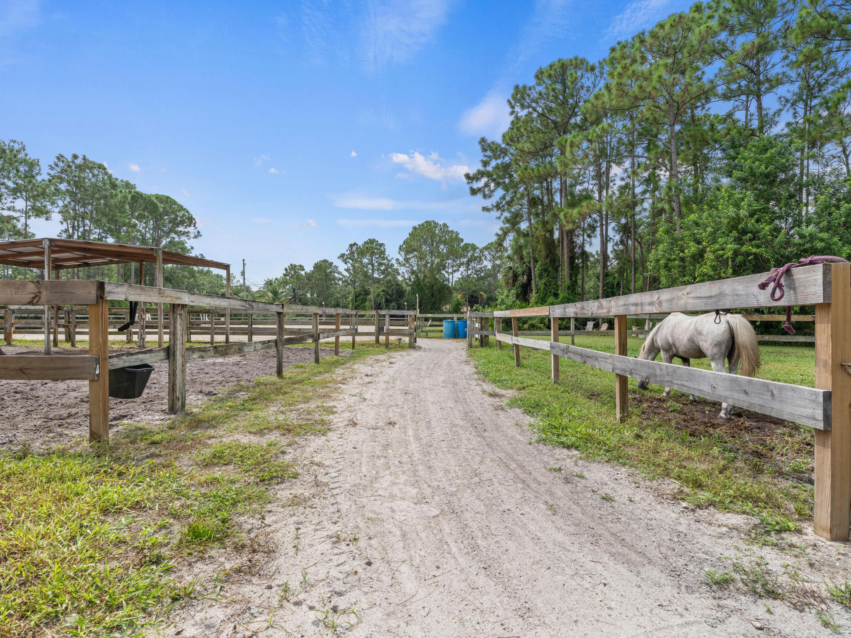 The Acreage - Residential