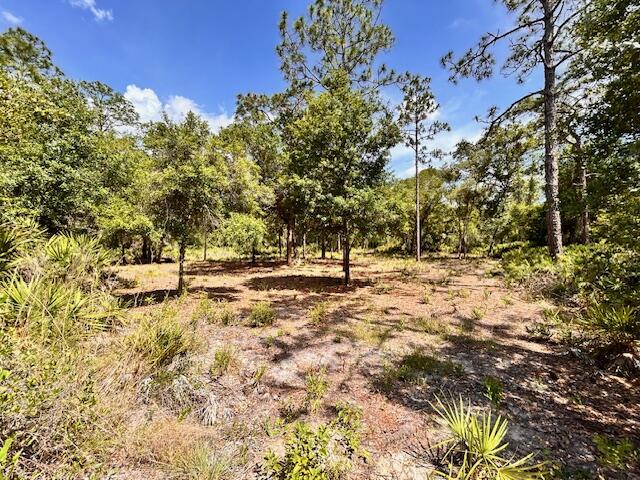 INDIAN LAKE ESTATES UNIT 09 REVISED - Land