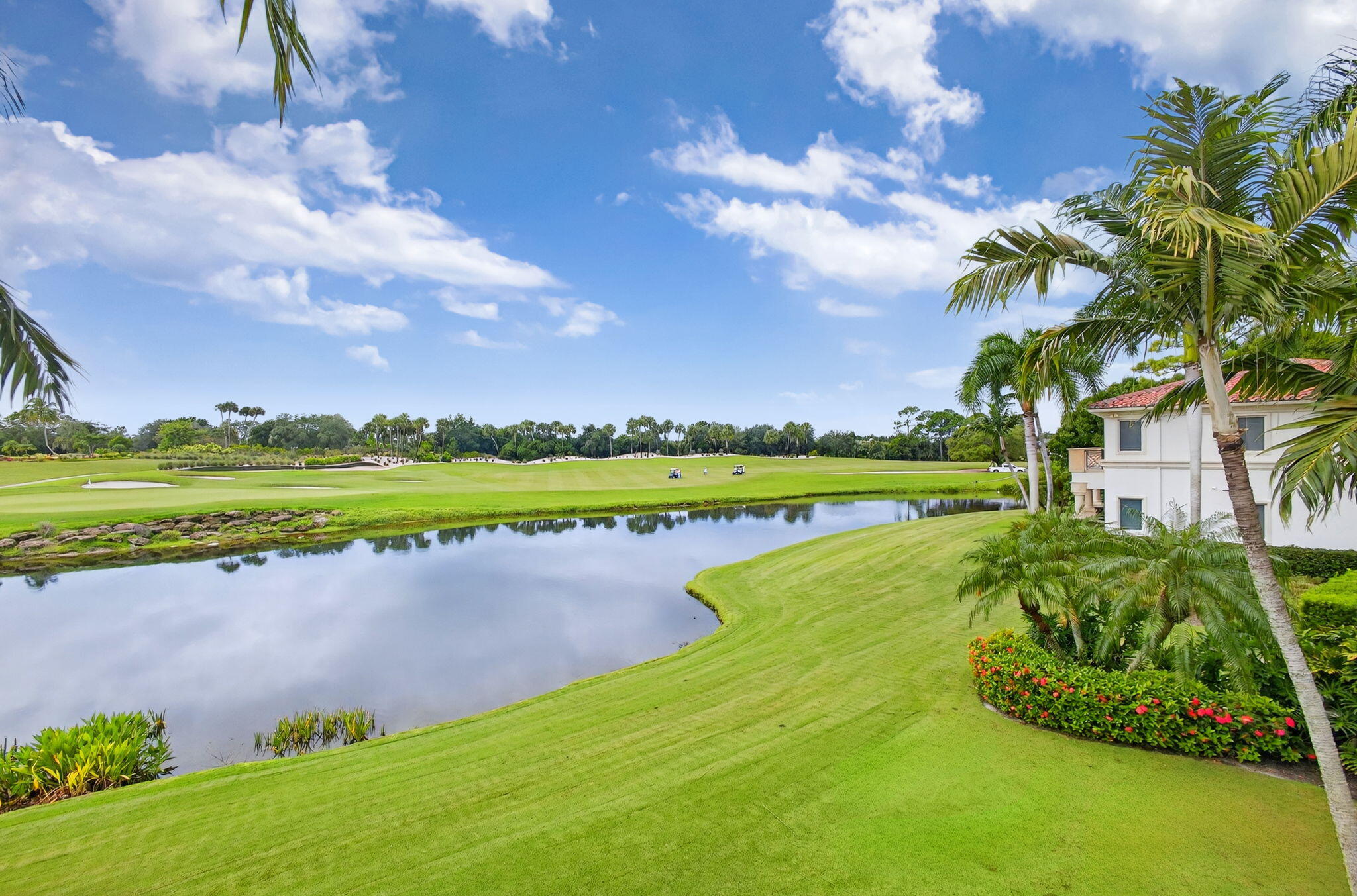 OLD PALM 5 - Residential