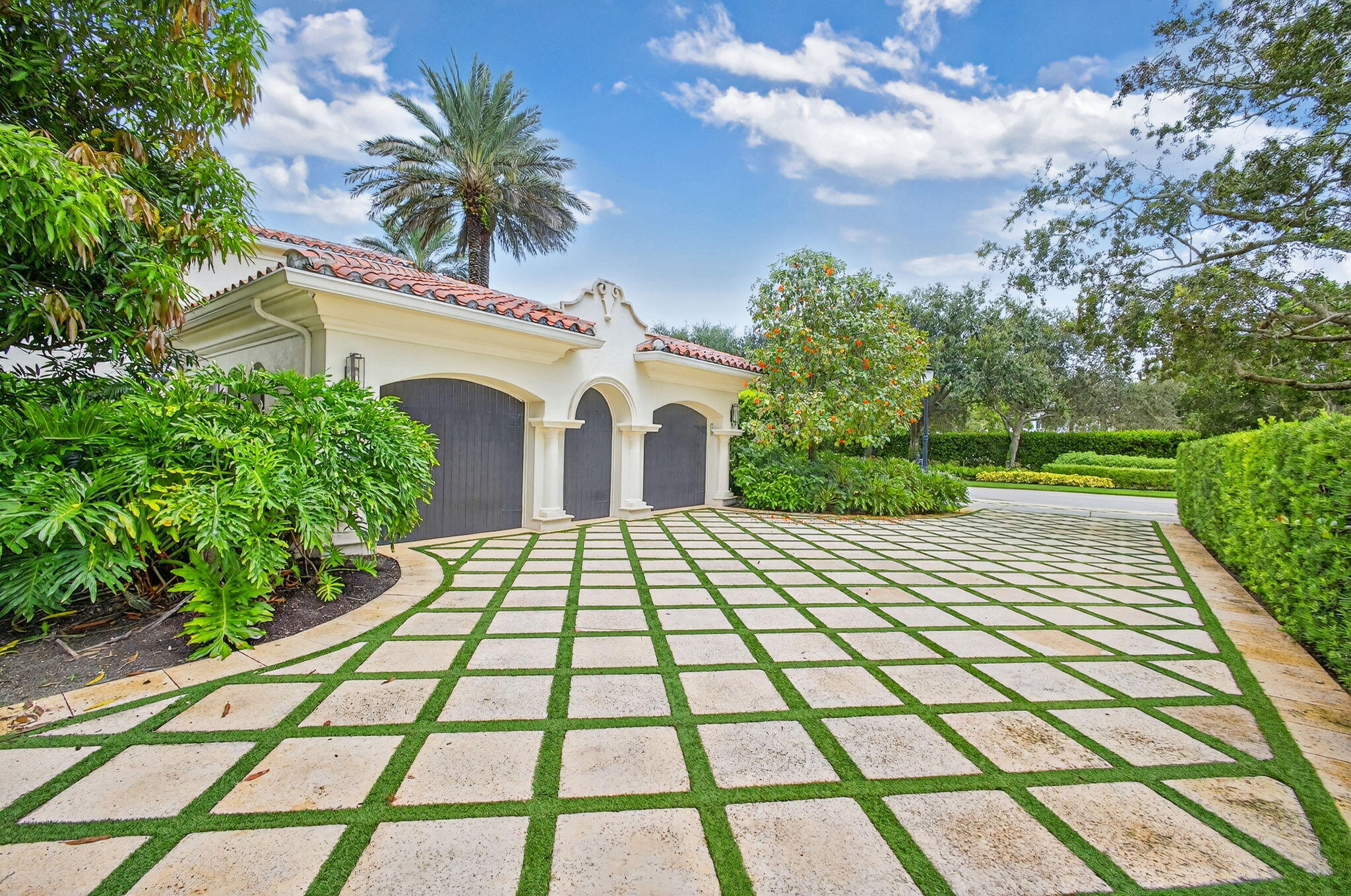 OLD PALM 5 - Residential