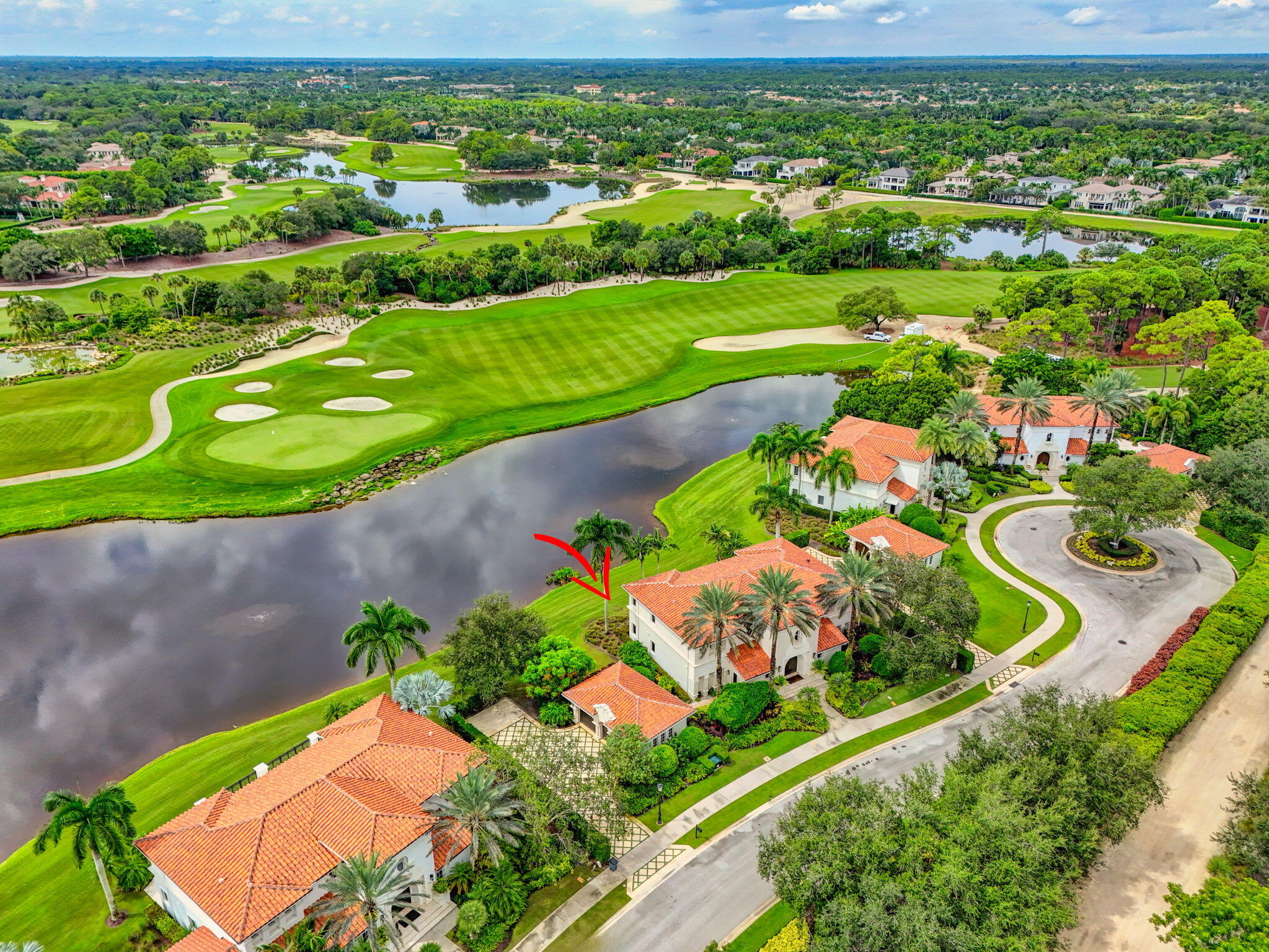 OLD PALM 5 - Residential