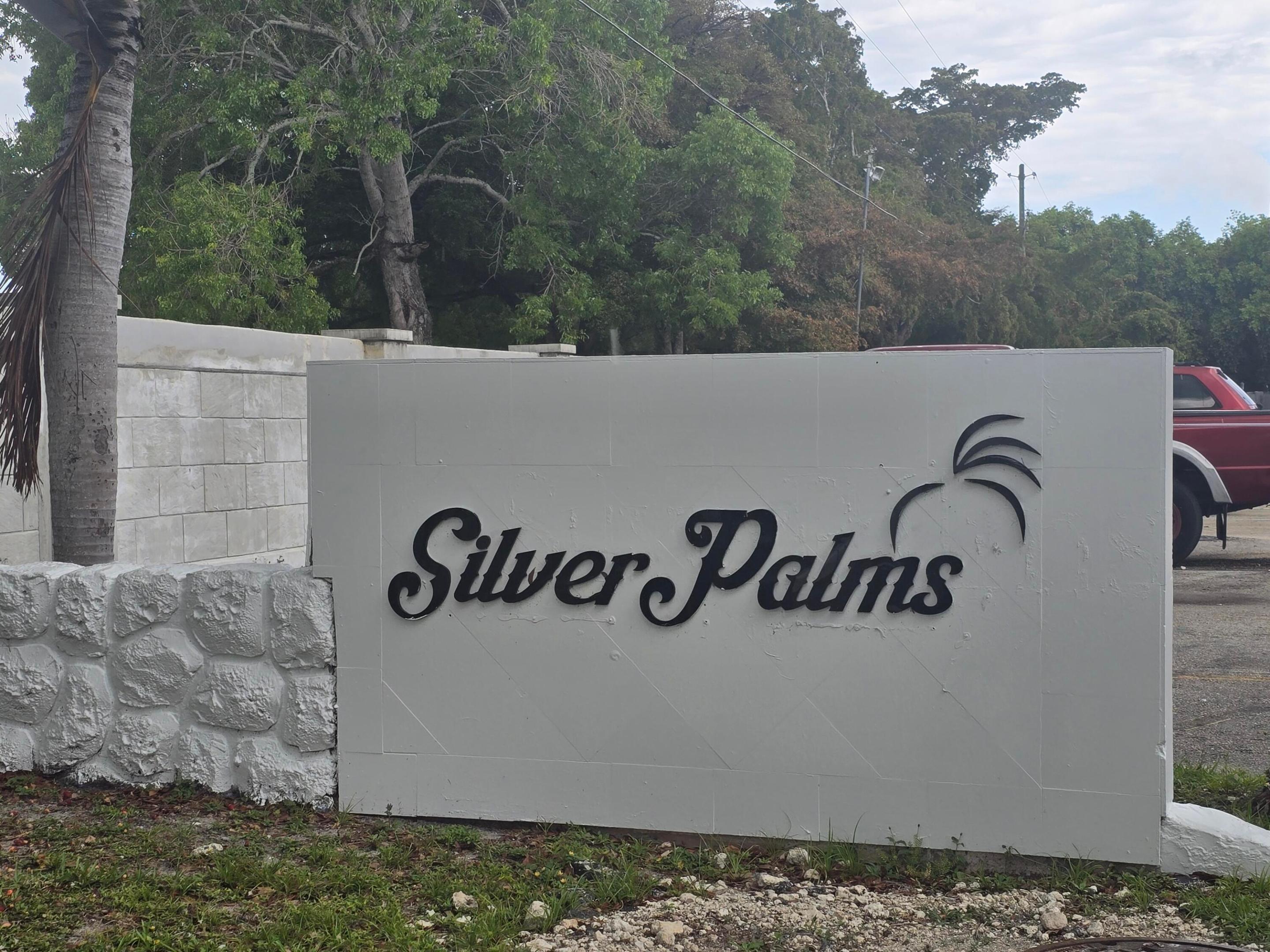 SILVER PALMS CONDO - Residential