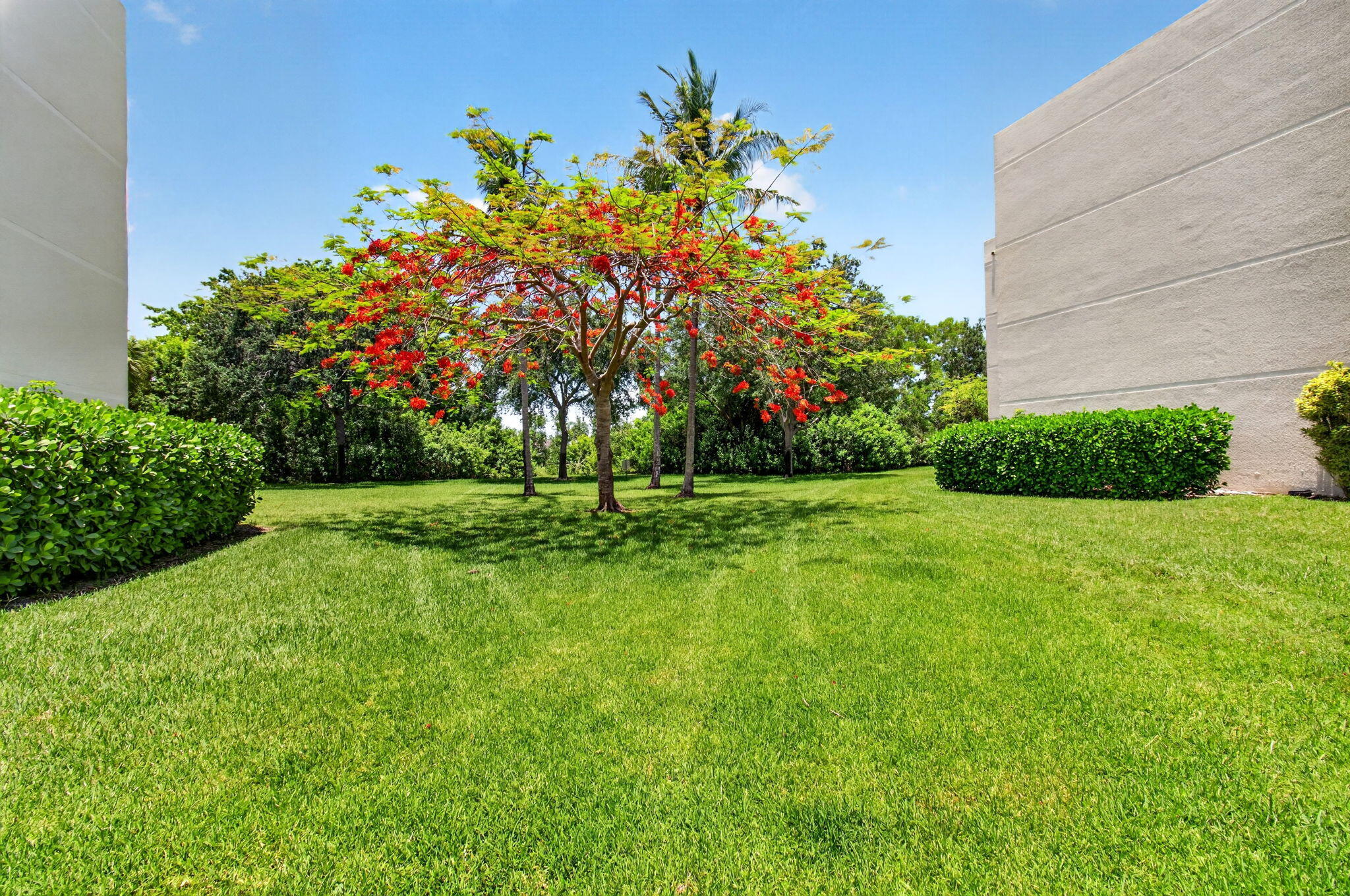 CAMINO REAL VILLAGE CONDO - Residential