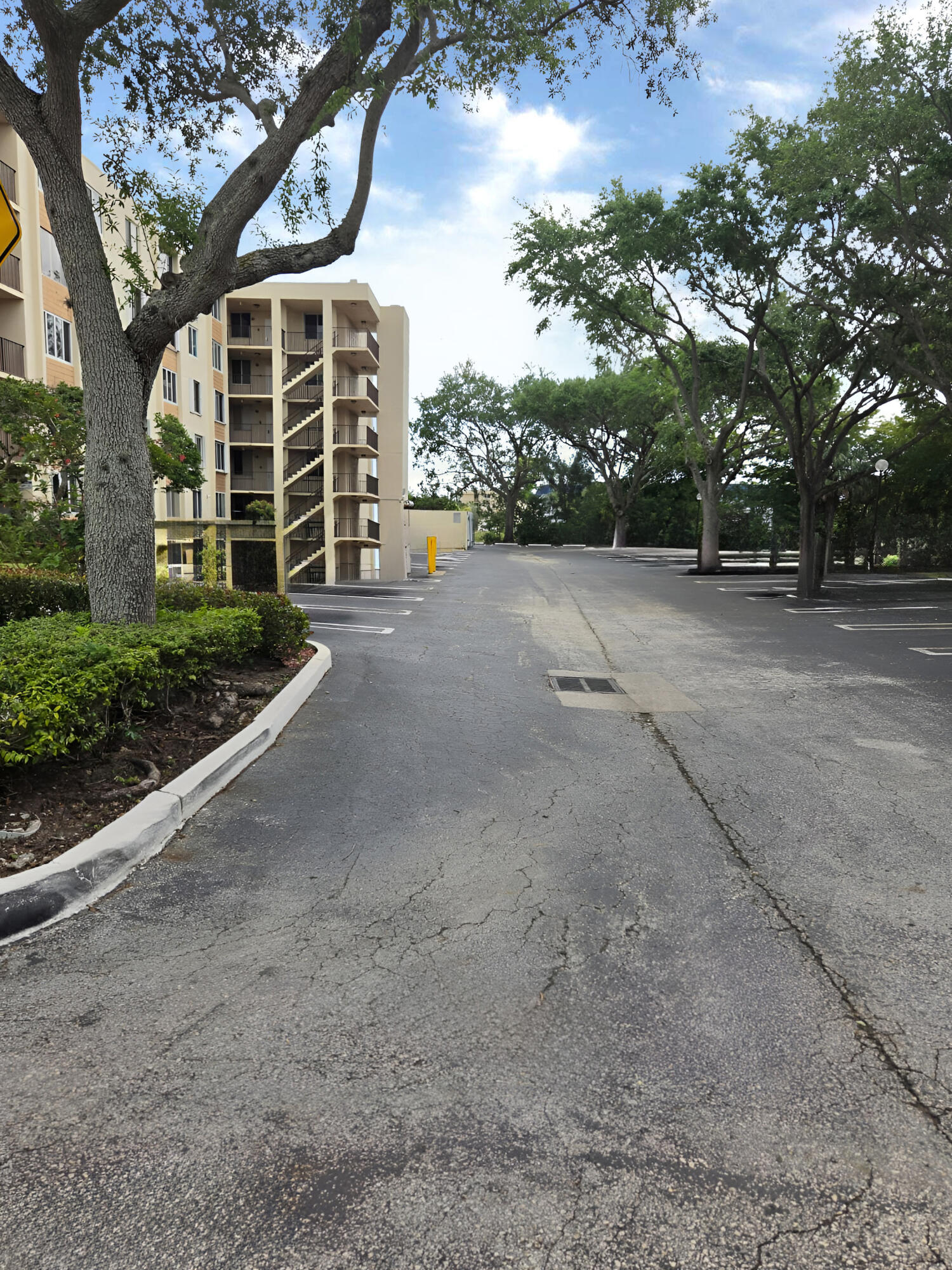 PALM COURT CONDO - Residential