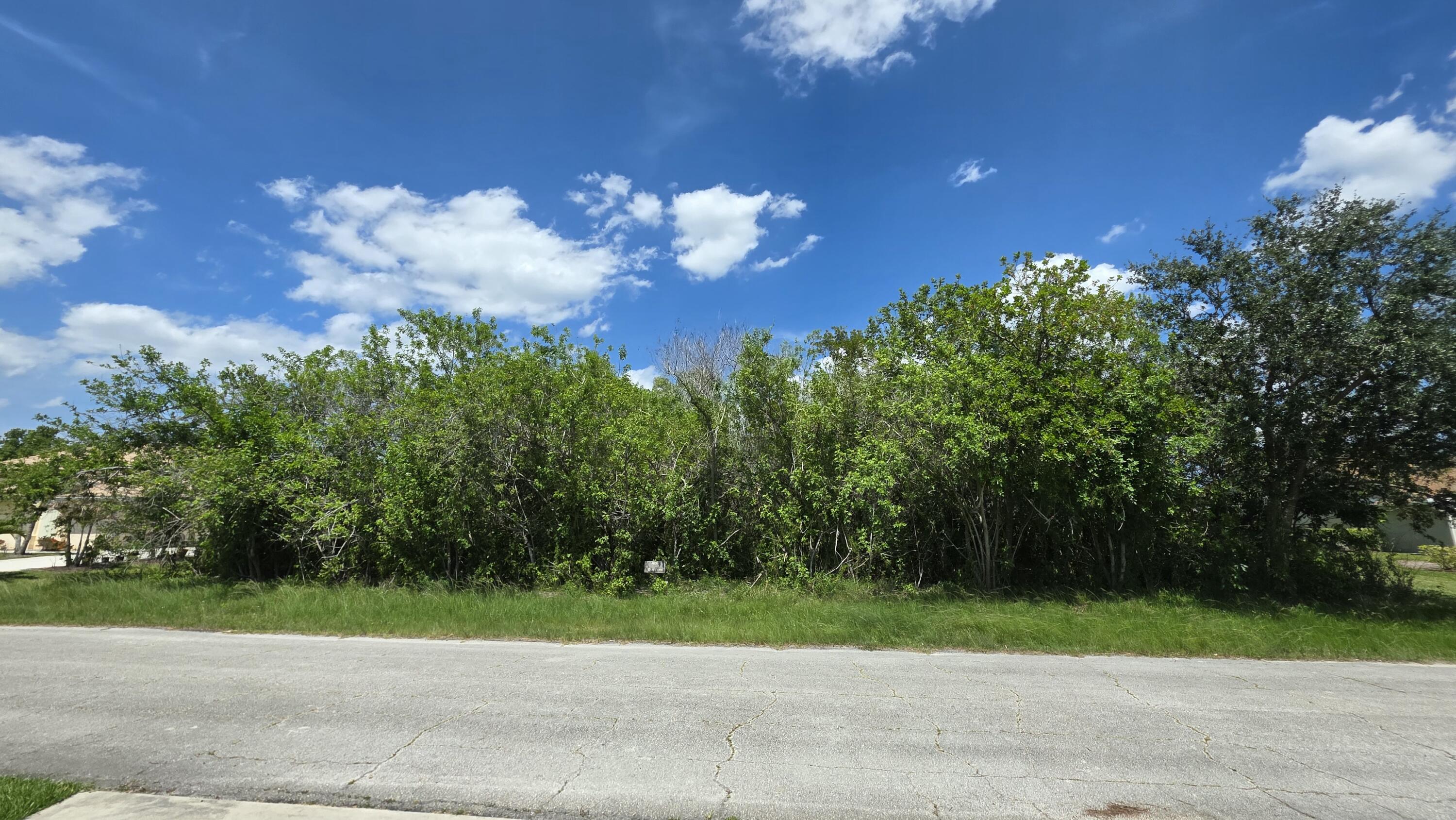 Sales contract assignment NOT PERMITTED. Major opportunity to  build your own home, your style. Investor's opportunity