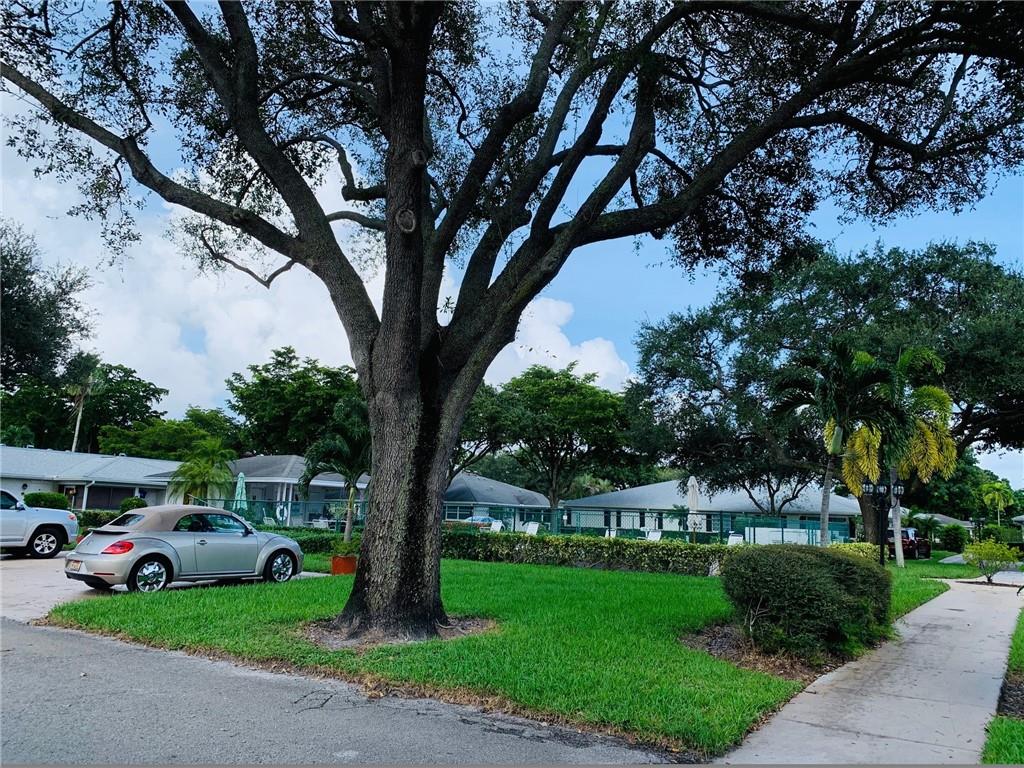 Limetree Condo - Residential