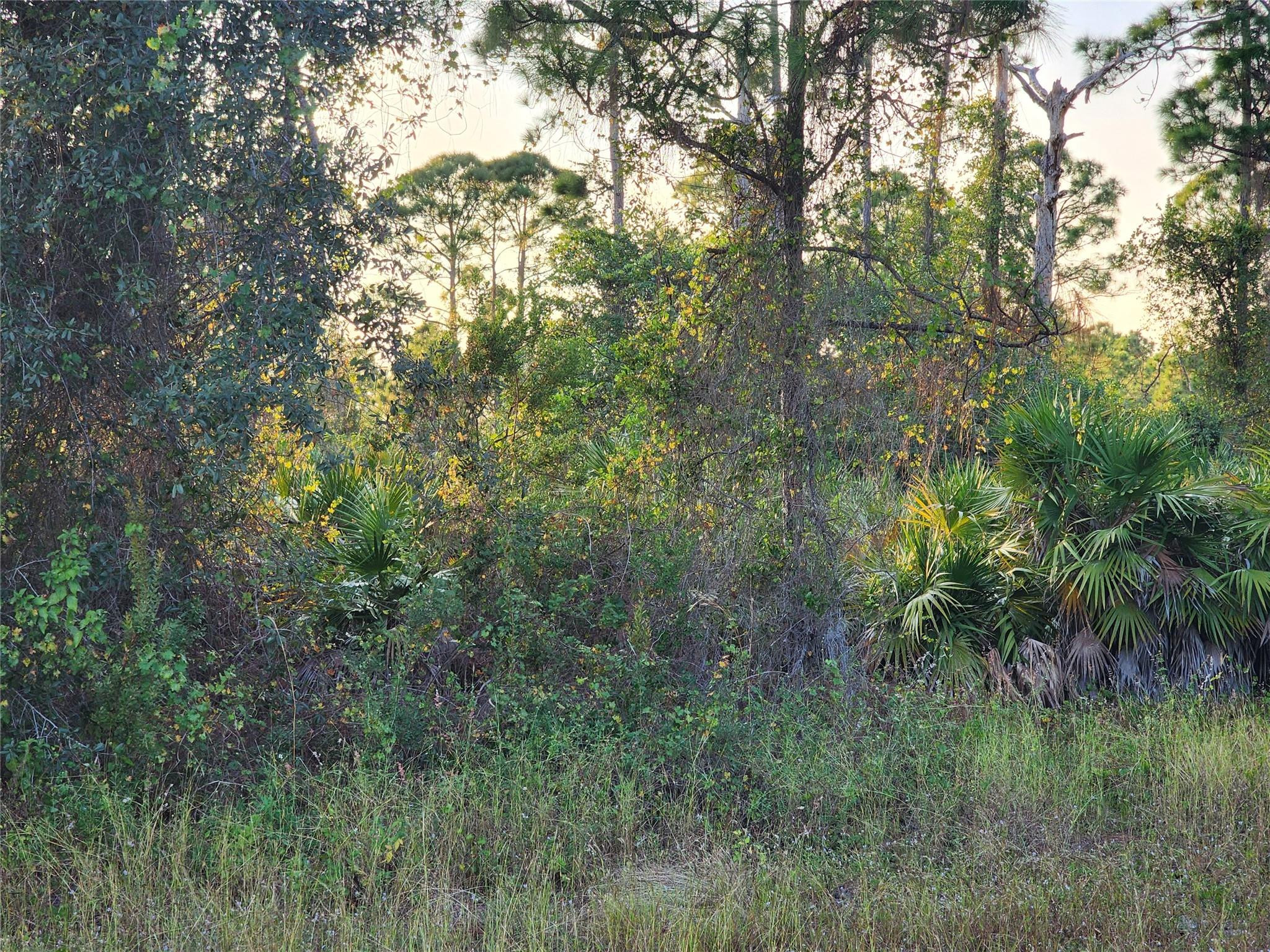 Beautiful residential lot in a growing area of Lehigh Acres, perfect for building your dream home or investing for the future. This property sits between a clean, cleared lot with no trees and established homes, offering a peaceful setting with neighborhood stability. The land is flat and buildable, making construction easier and more affordable. Located near SR-82, shopping, dining, and daily amenities. Don’t miss this great opportunity—secure this lot today before it’s gone!