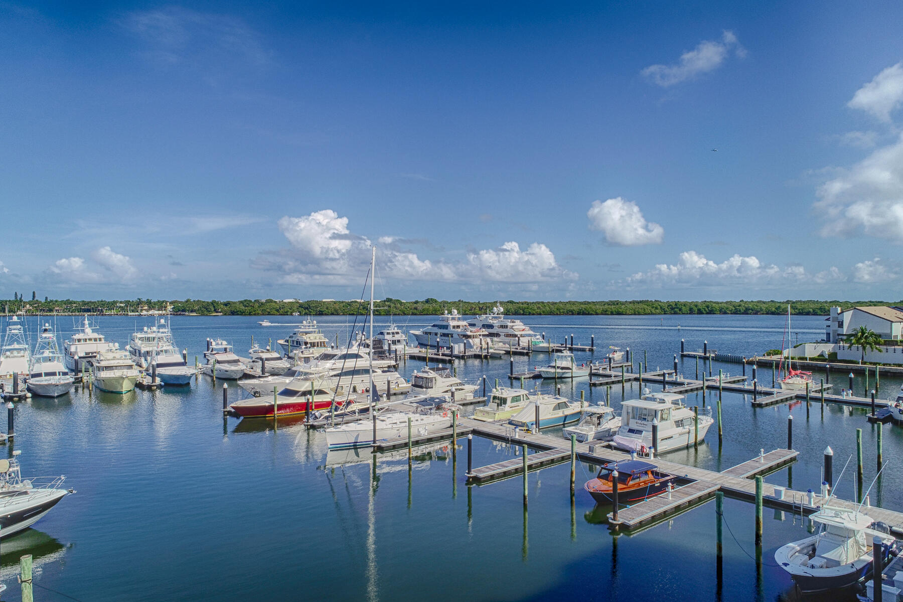 OLD PORT COVE LAKE POINT TOWER CONDO - Residential