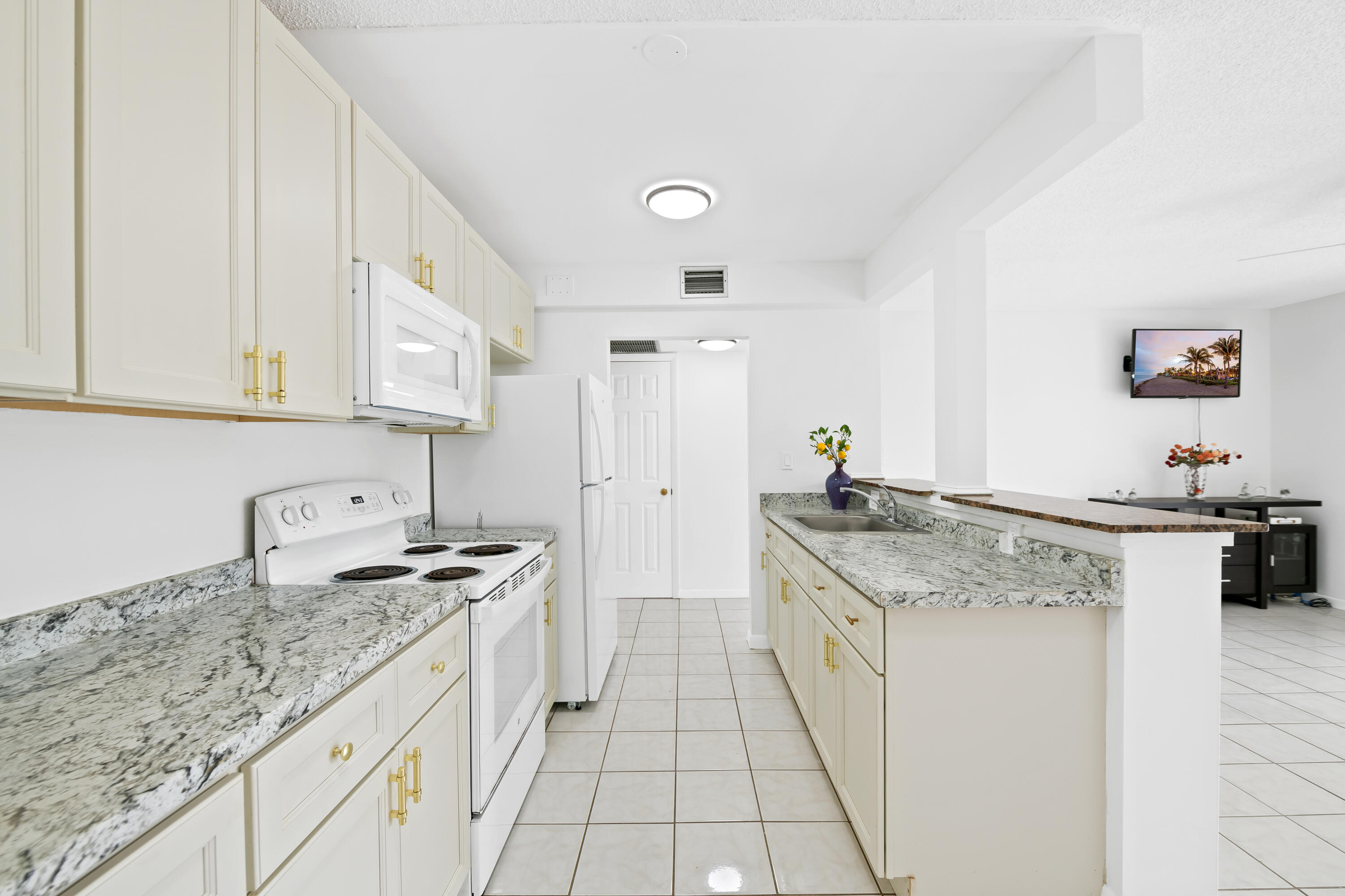 SABAL PALM VILLAGE CONDO - Residential