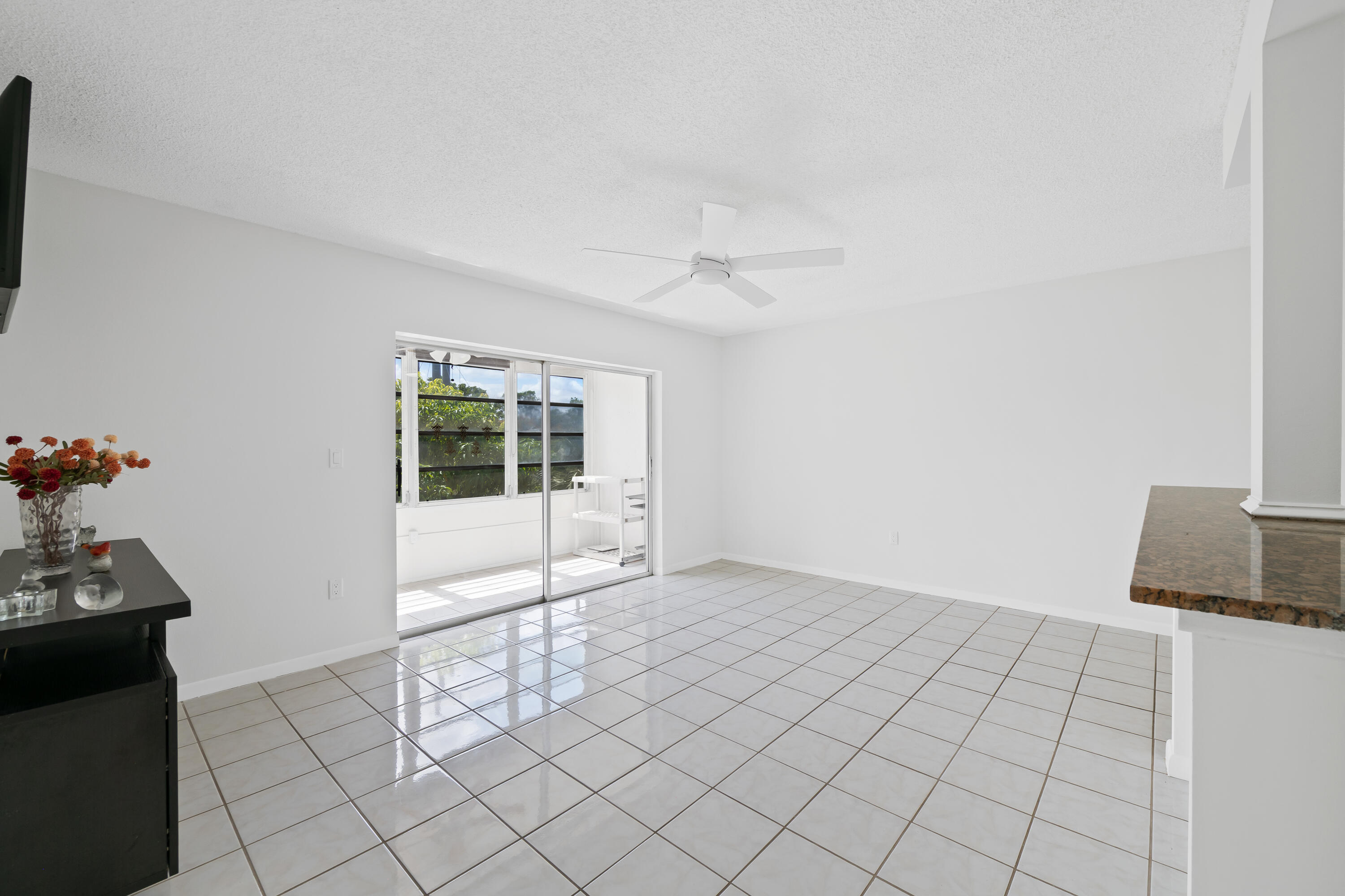 SABAL PALM VILLAGE CONDO - Residential
