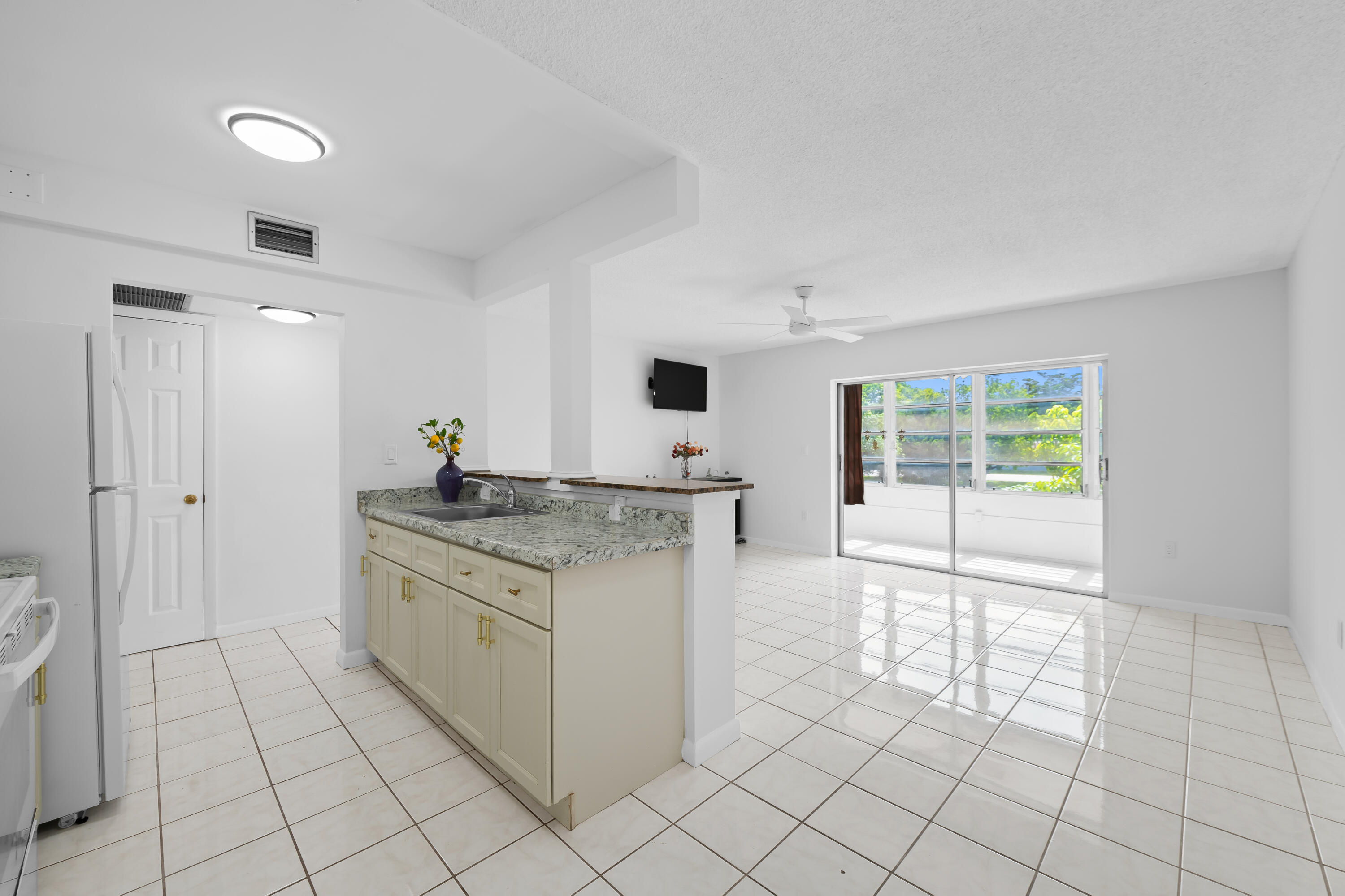 SABAL PALM VILLAGE CONDO - Residential