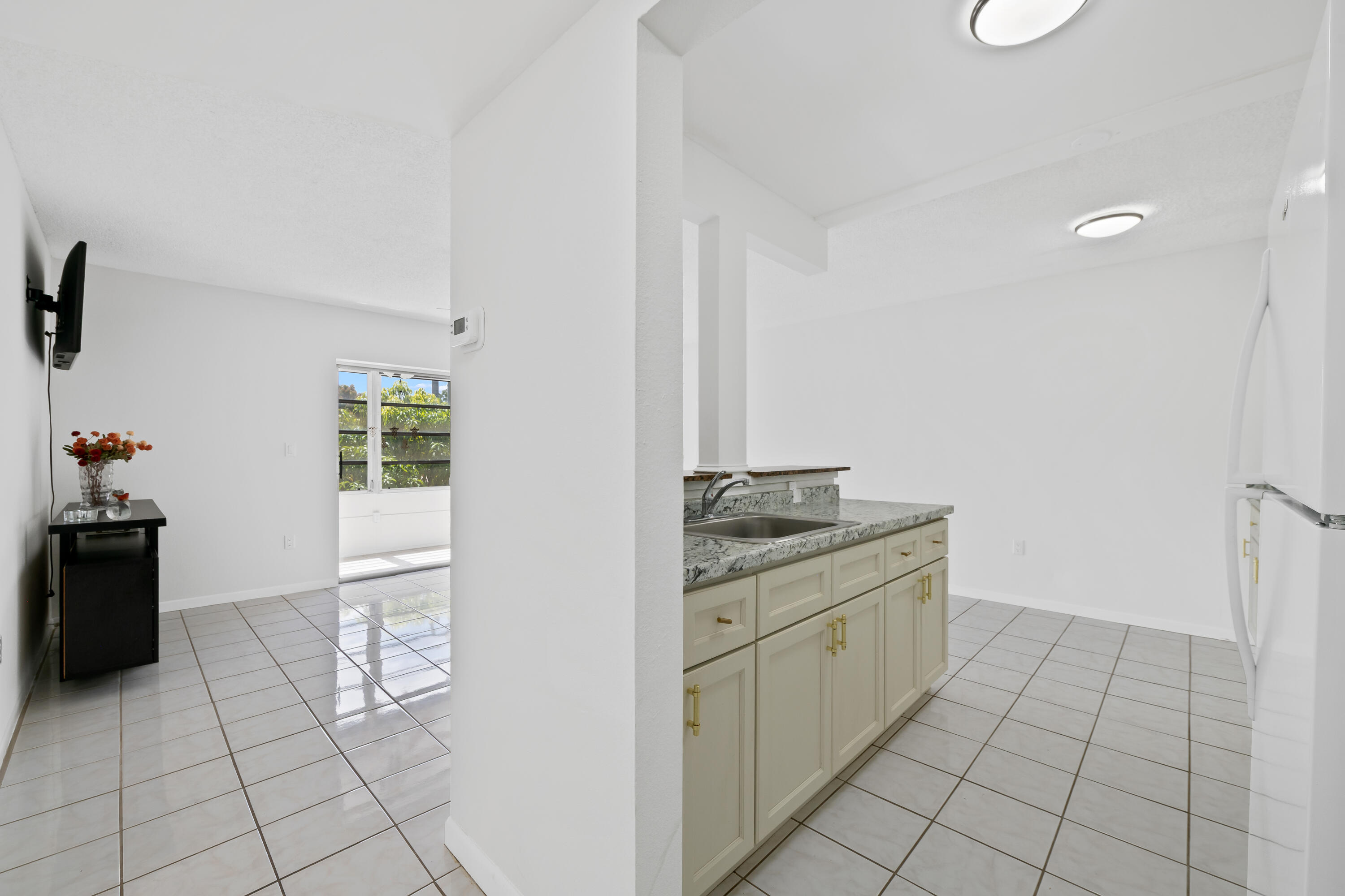 SABAL PALM VILLAGE CONDO - Residential
