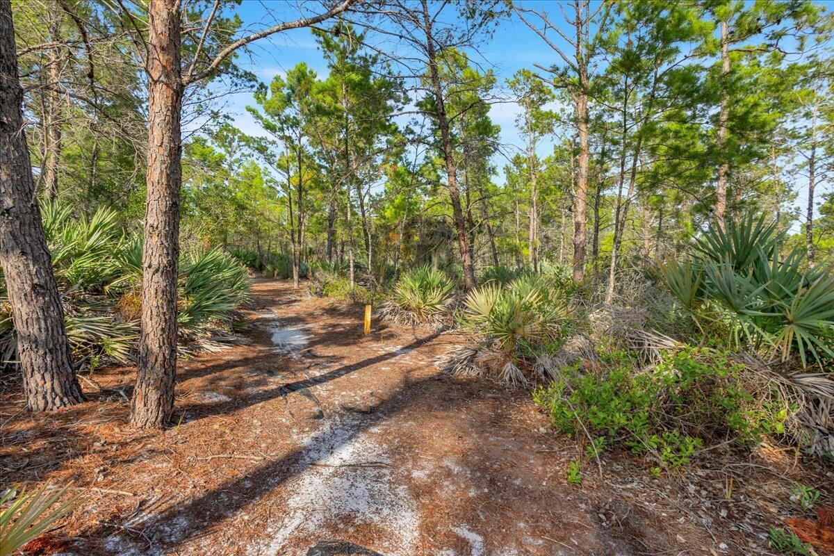 THE ARBORS (AKA FOREST GLADE) - Residential