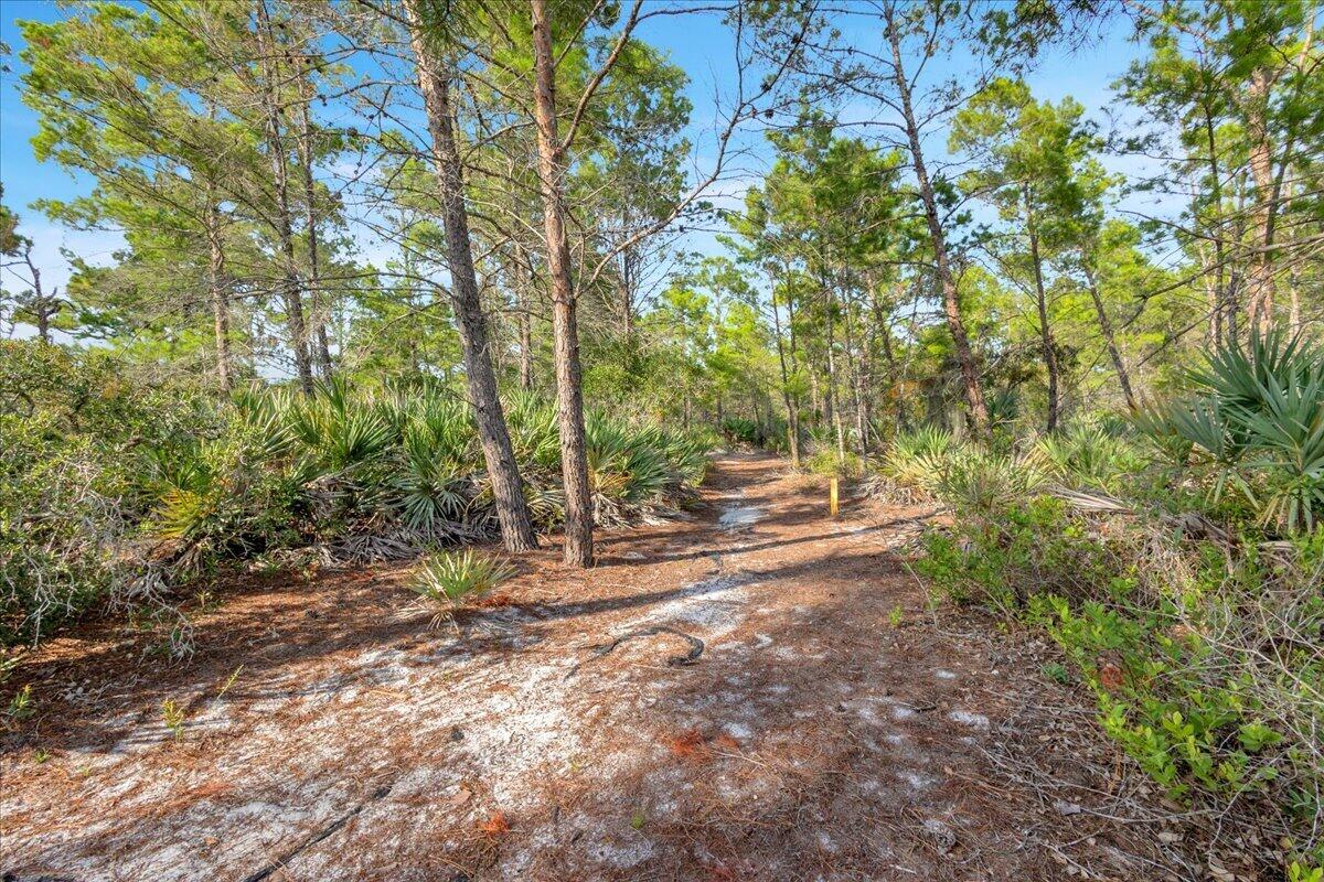 THE ARBORS (AKA FOREST GLADE) - Residential