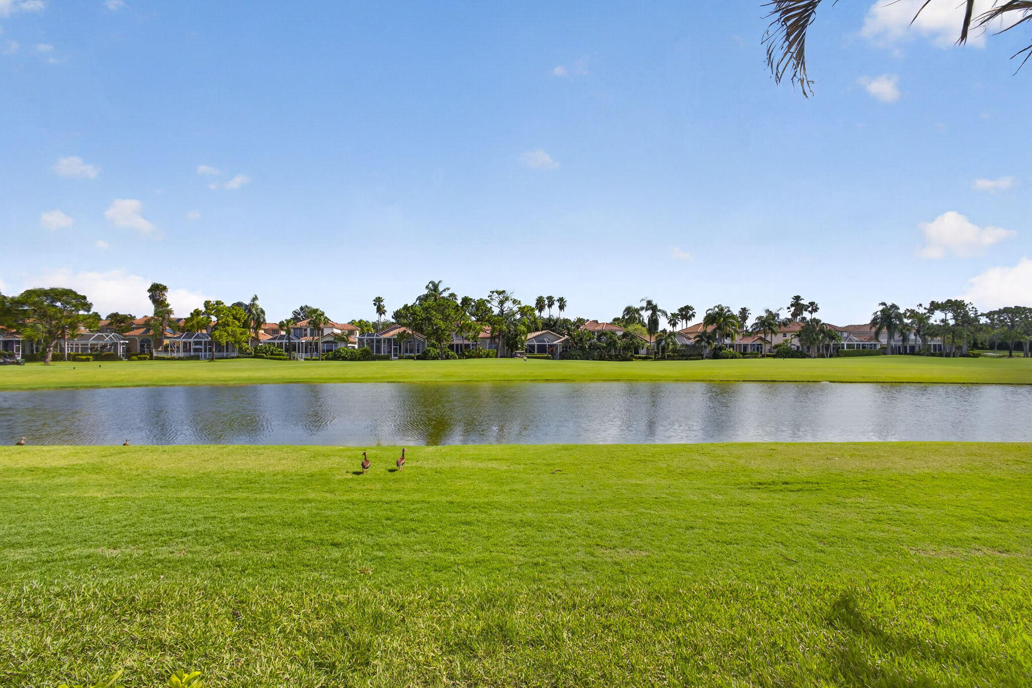 IBIS GOLF AND COUNTRY CLUB - Residential