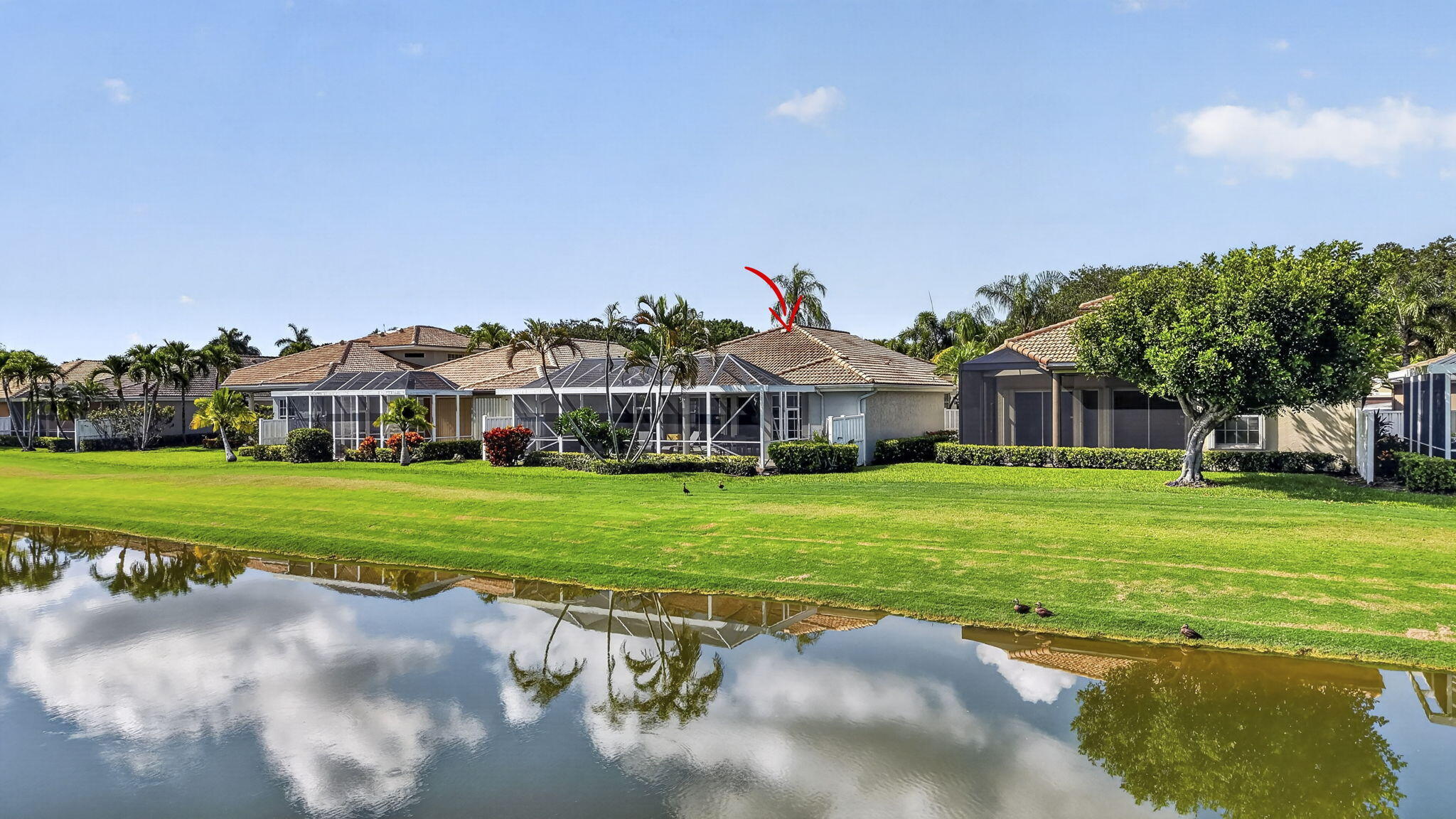 IBIS GOLF AND COUNTRY CLUB - Residential