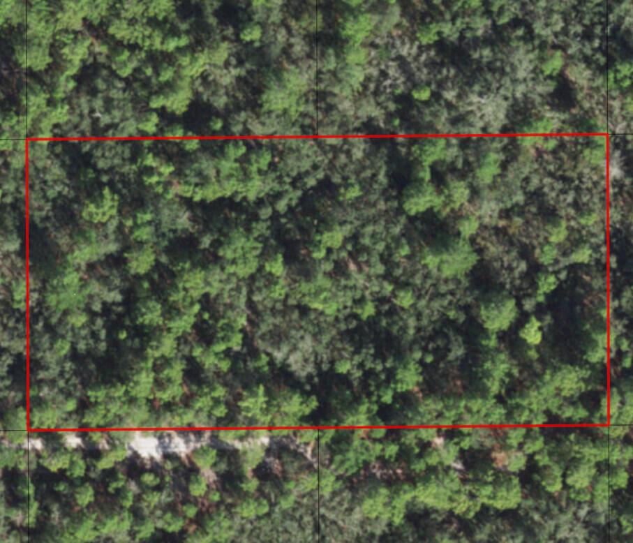 CLE41 Central Lake Estates - Land