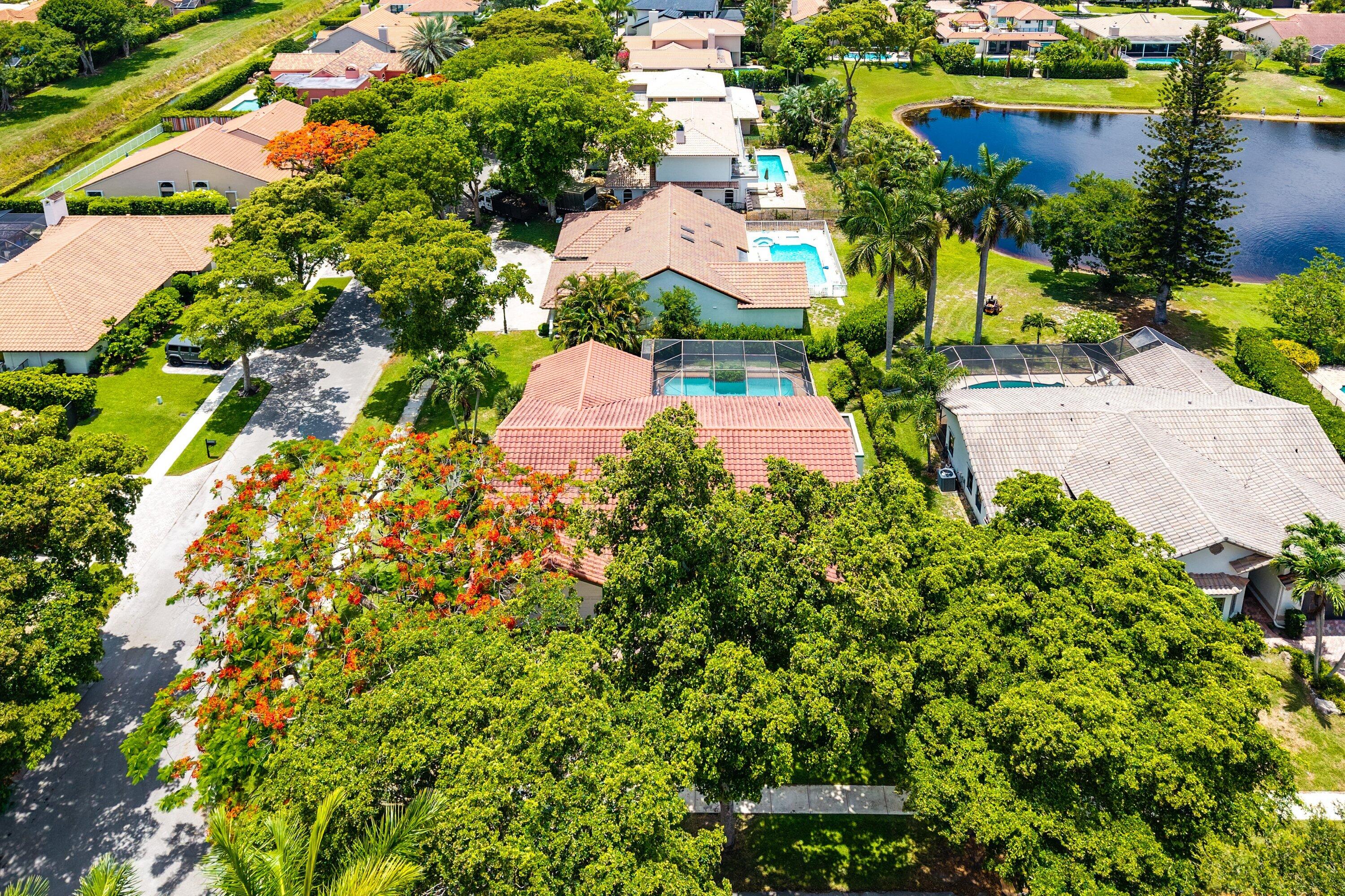 NEW FLORESTA - Residential