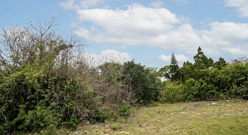 L W HALBE LAND - Land