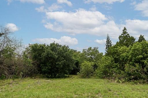 L W HALBE LAND - Land