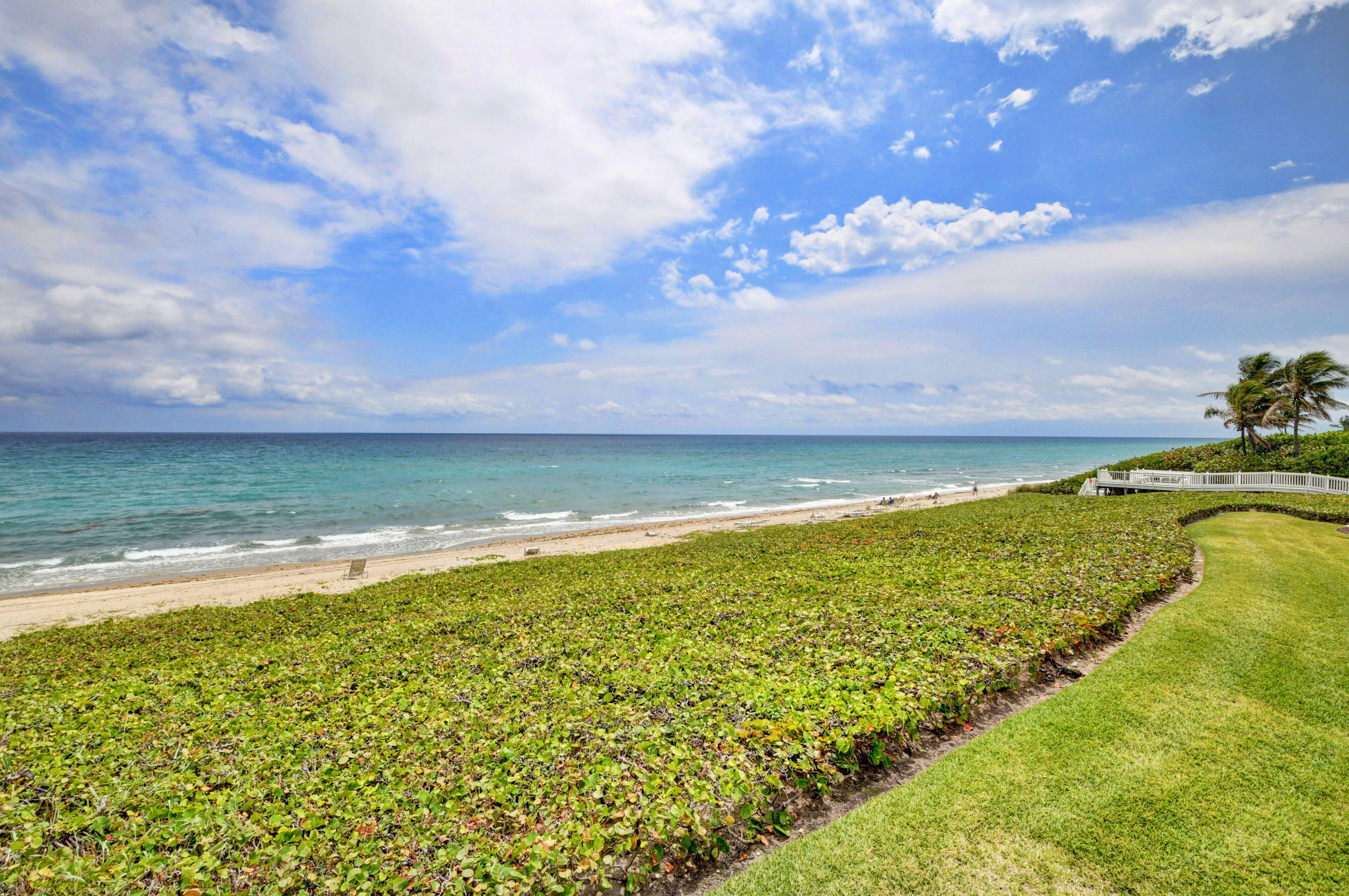 CLARENDON CONDO - Residential Lease