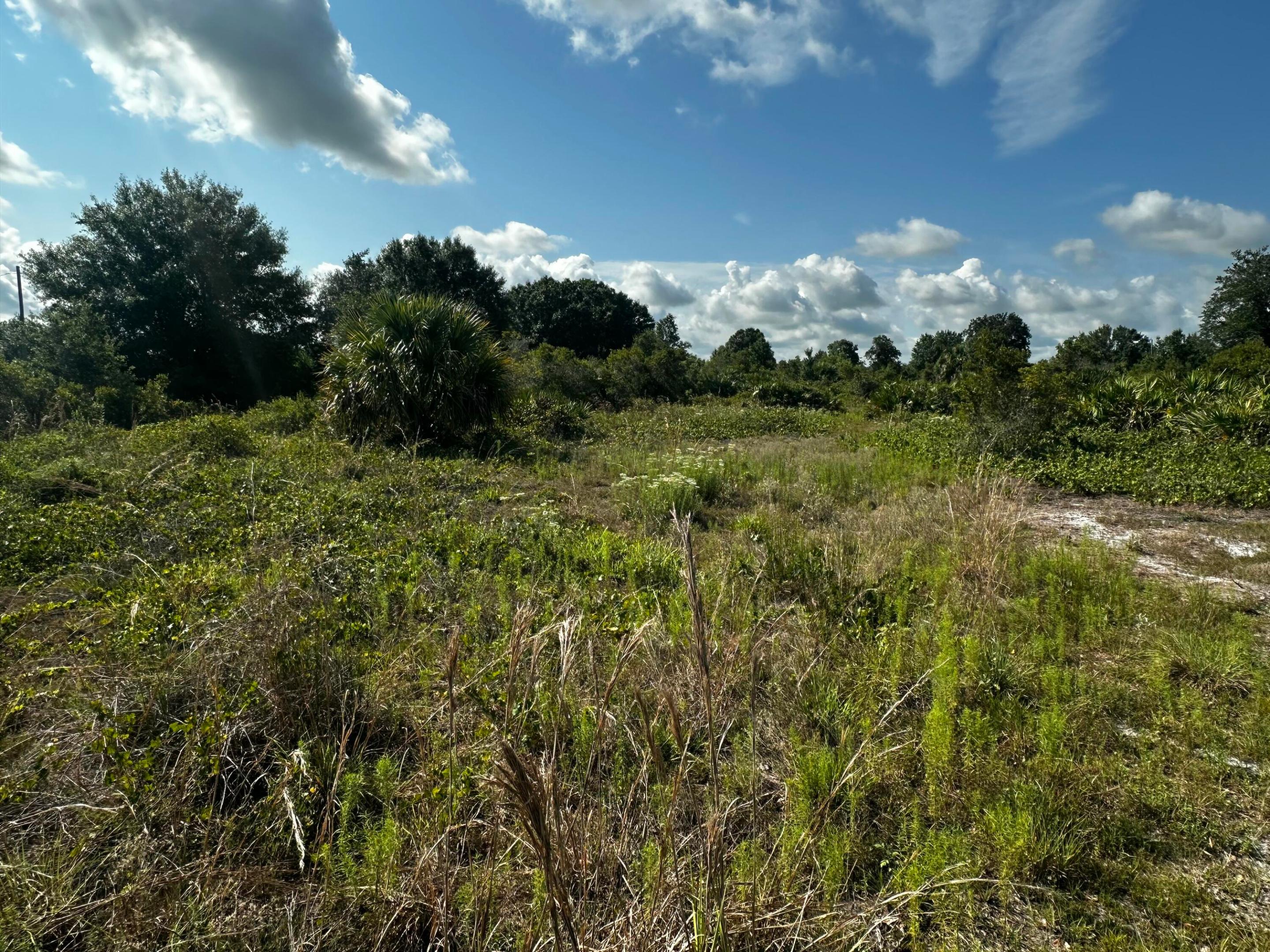 Southern Colonization - Land