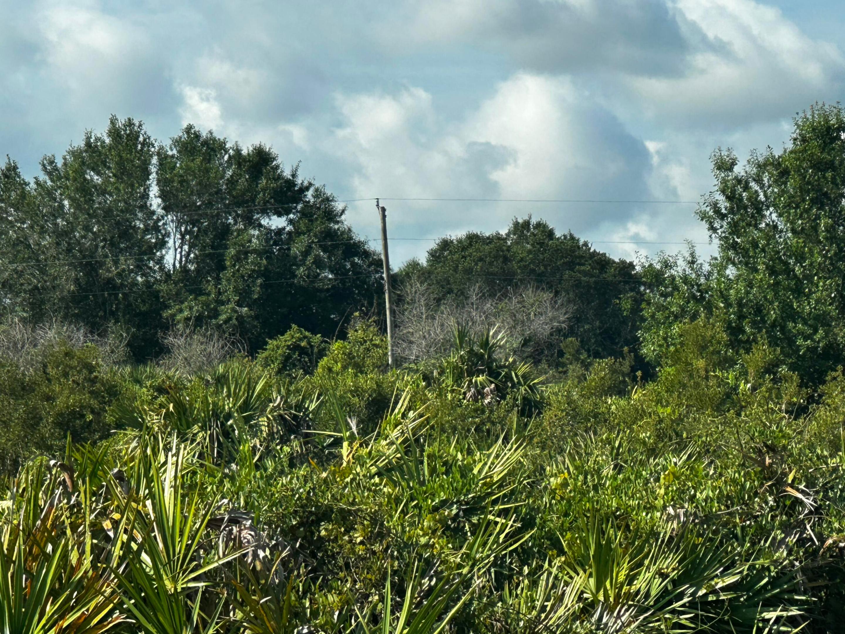 Southern Colonization - Land