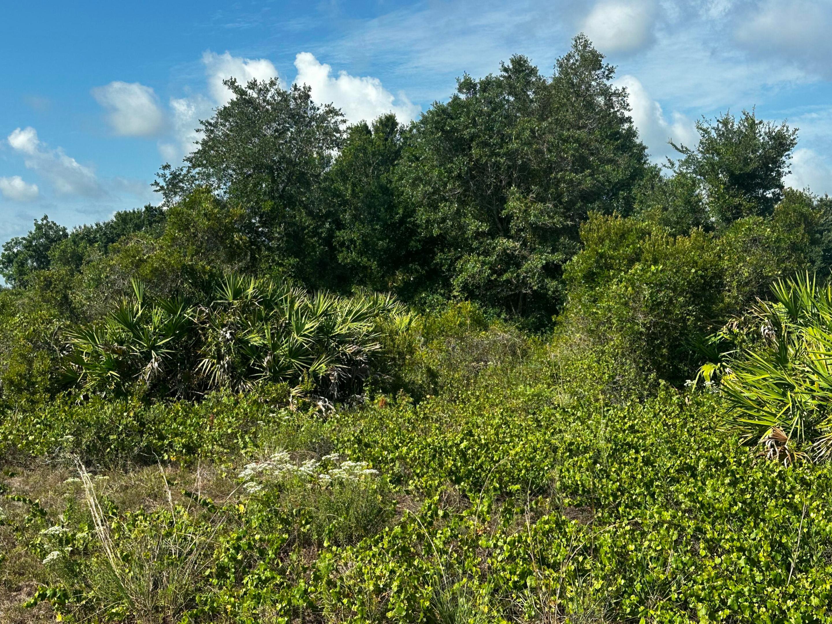 Southern Colonization - Land