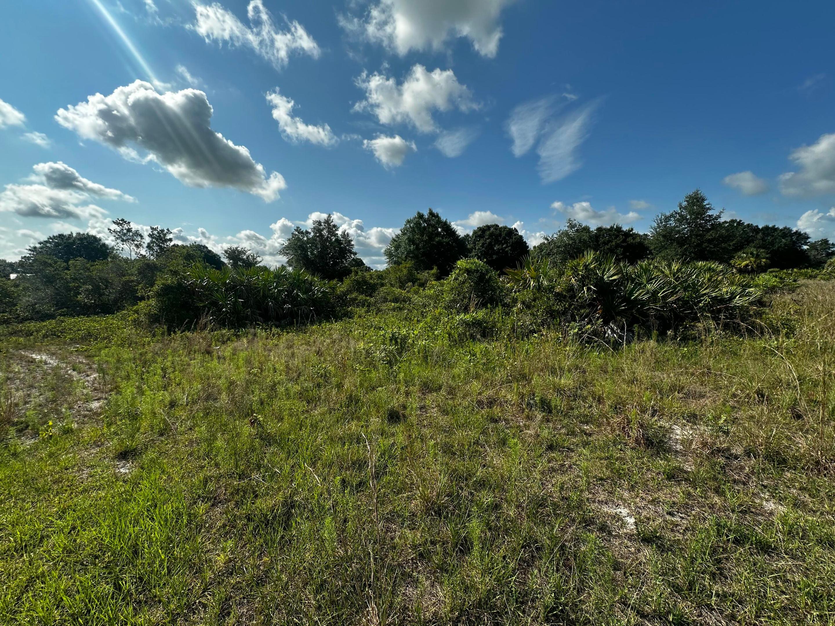 Southern Colonization - Land