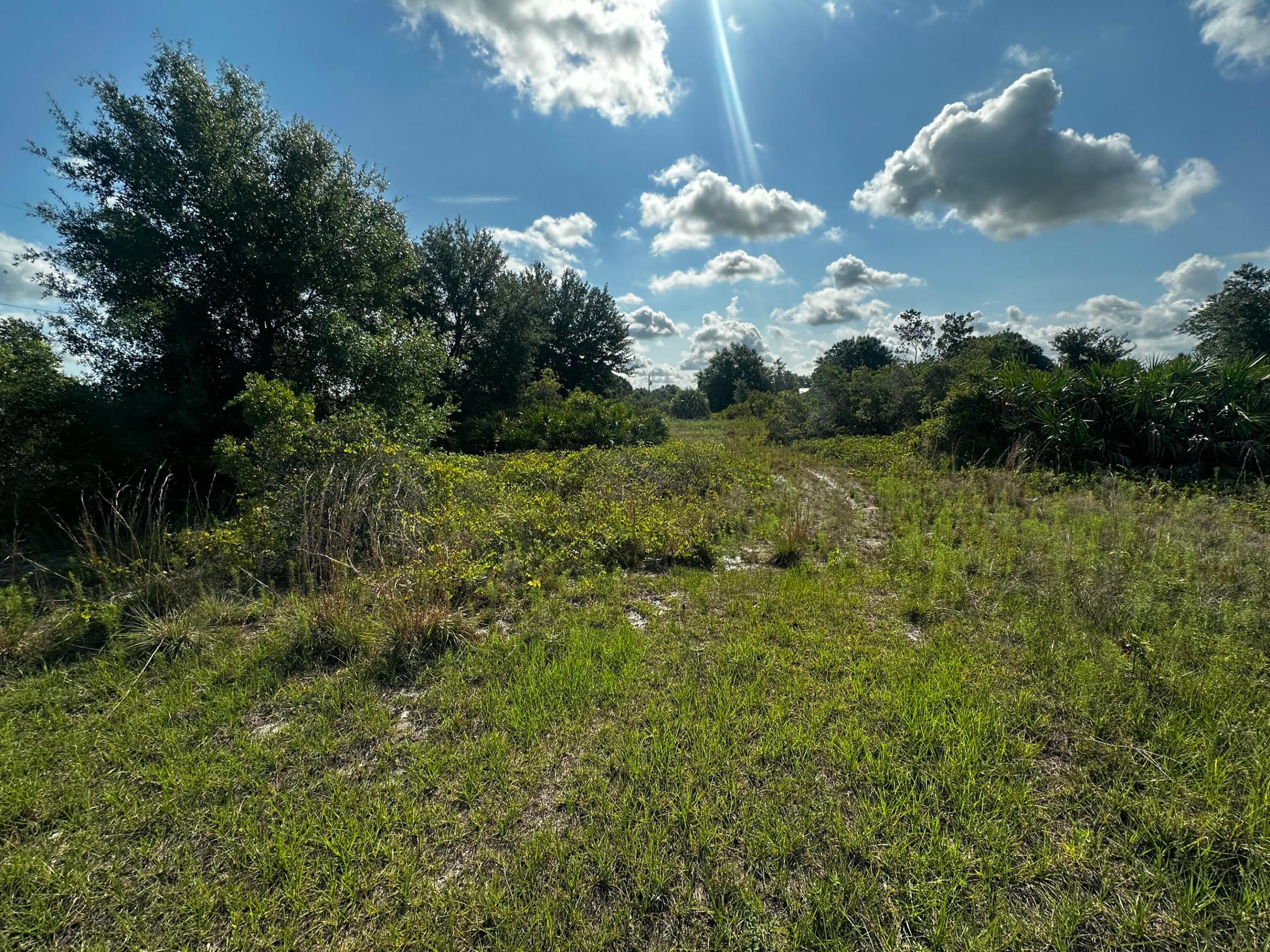 Southern Colonization - Land