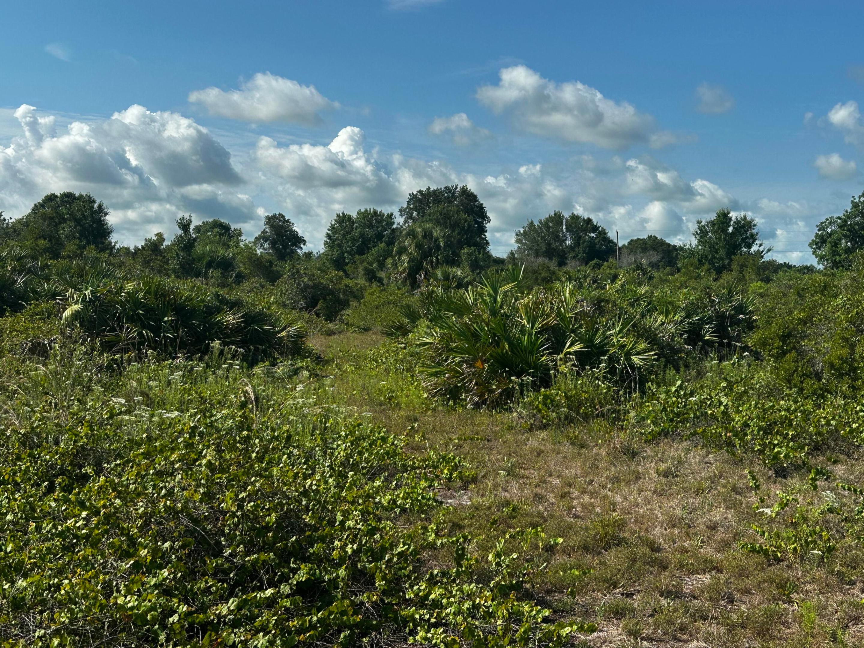 Southern Colonization - Land