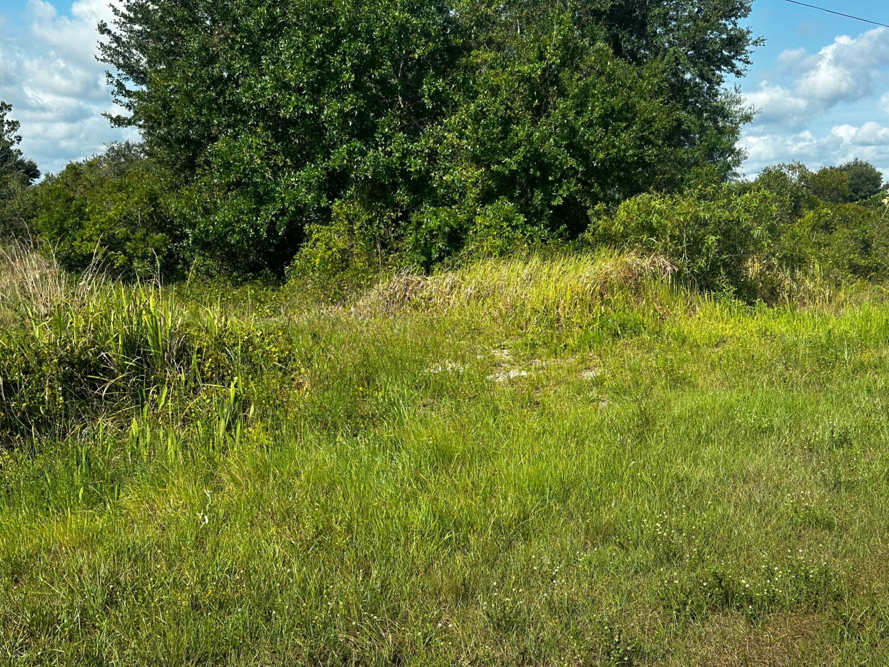 Build your dream home on this beautiful 1.25-acre property! Conveniently located just off NW 144th, this parcel offers easy access while still providing plenty of space and privacy. High and dry, this property is ready for your vision, whether you're looking to build a custom home, establish a small homestead, or simply enjoy country living. Don't miss this opportunity to own a great piece of land in a desirable location. Call today for more information!