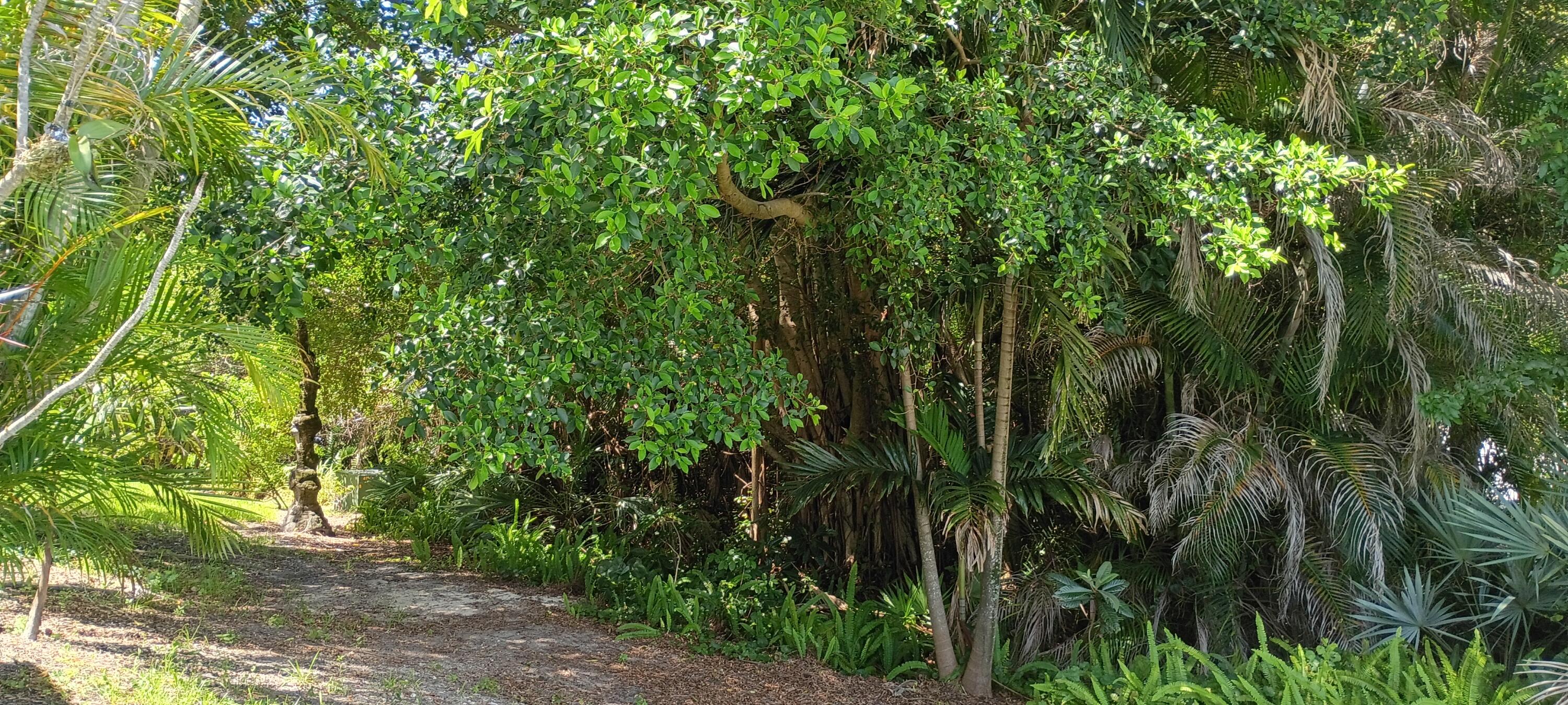 PINECROFT CONDO - Residential