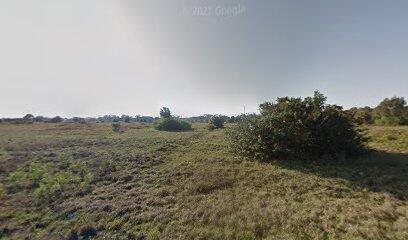 This is an Empty Lot in SouthWood subdivision of LeHigh Acres. A great opportunity to build your Dream Home. *Buyers must do their own due diligence for zoning, permitting, land use, utilities, Ect.*