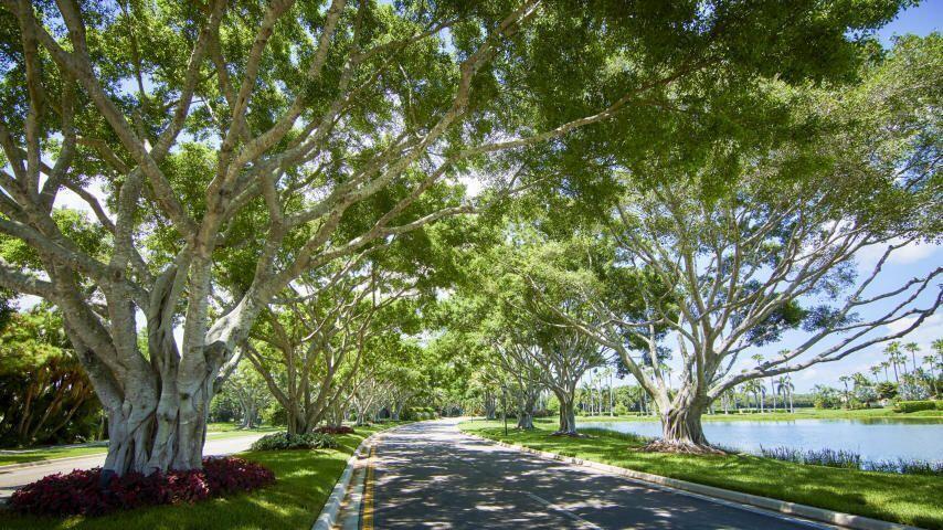 Ibis - Quail Meadow - Residential Lease