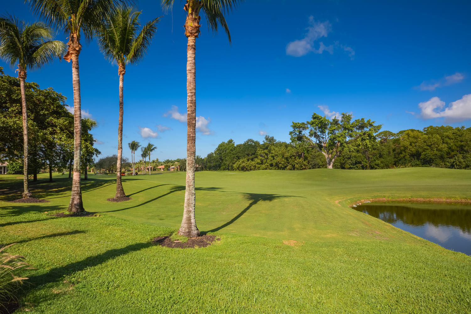 ST ANDREWS COUNTRY CLUB - Residential