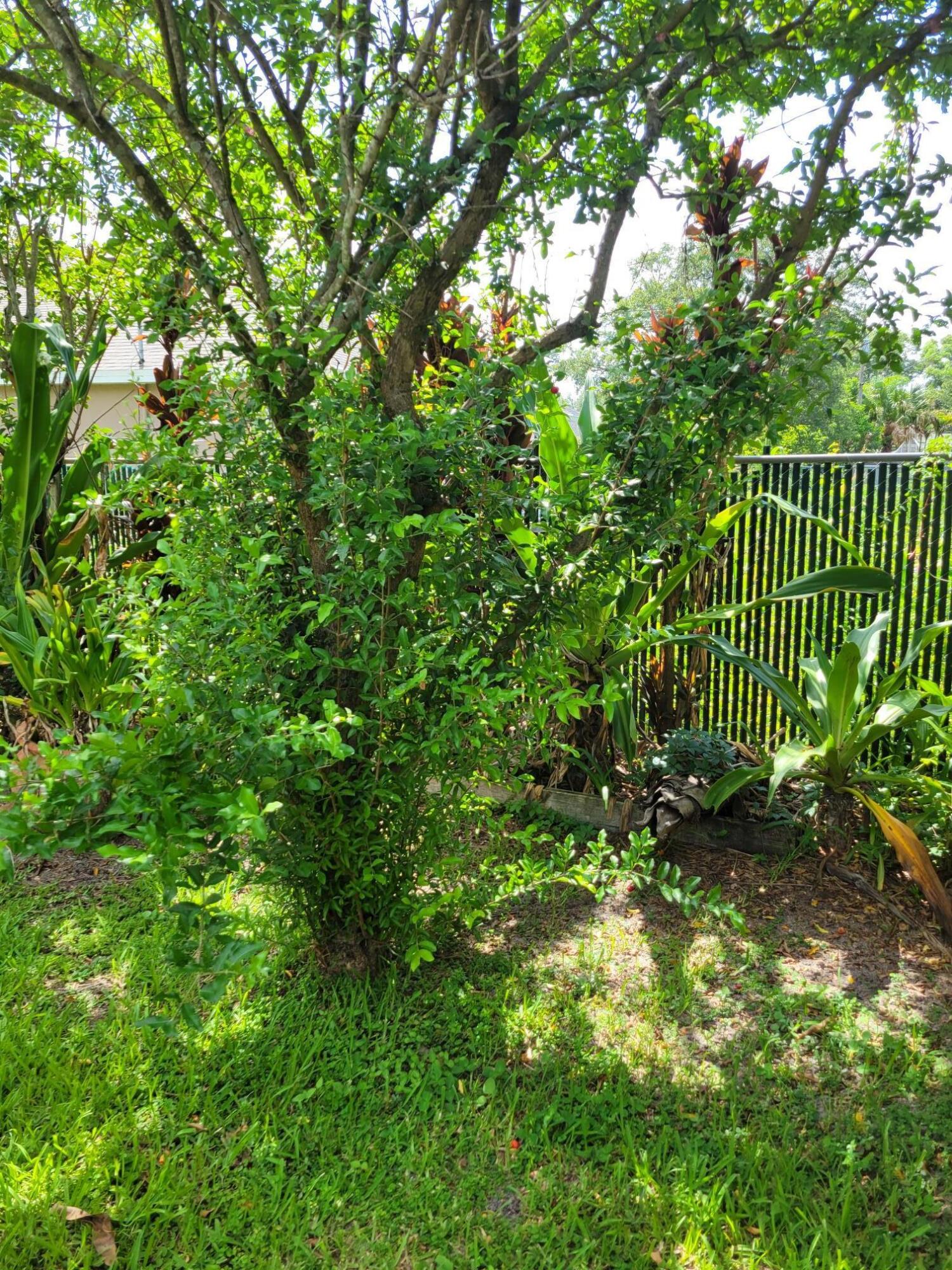 PORT ST LUCIE SECTION 41 - Residential
