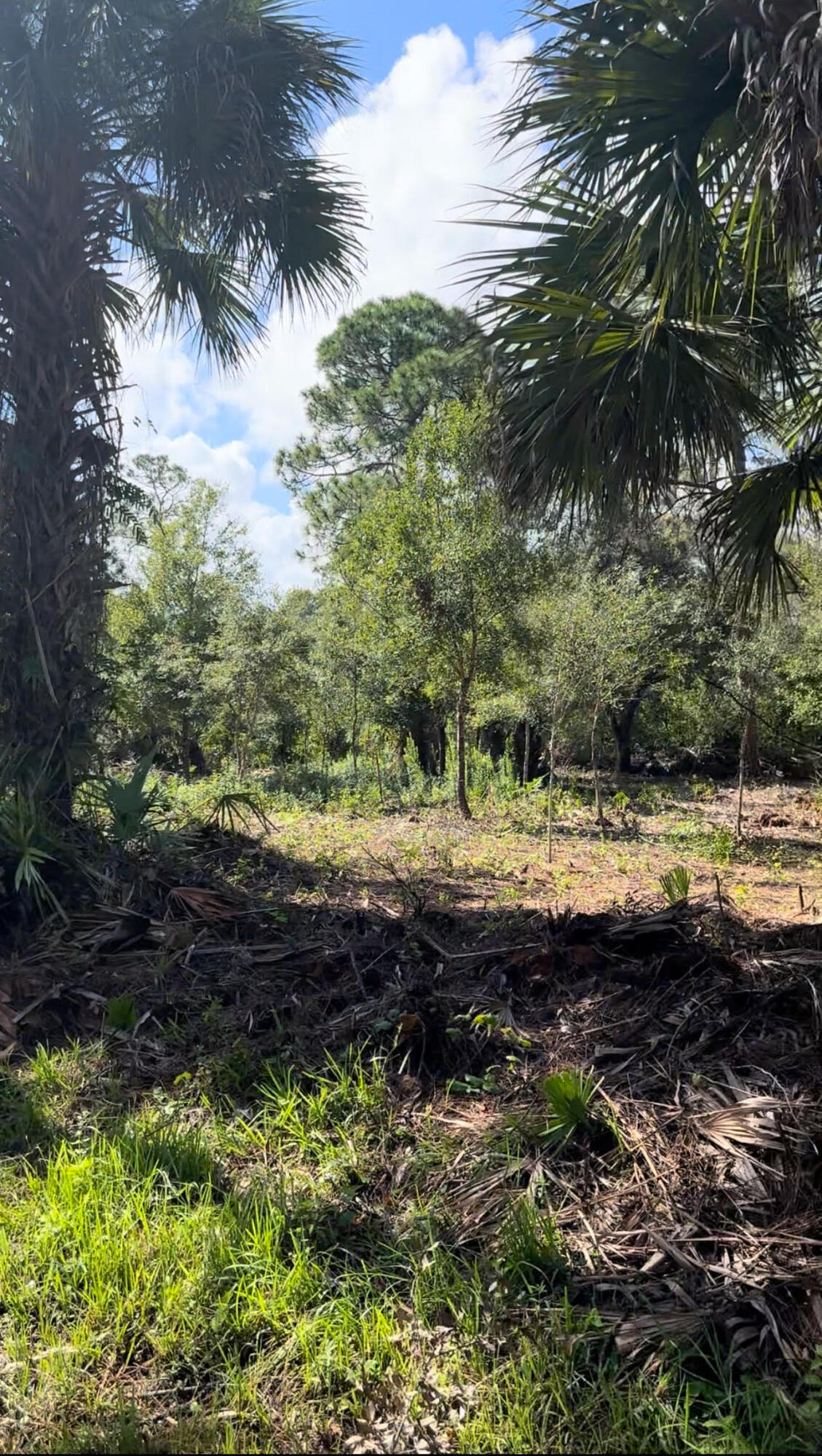 VERO LAKE ESTATES UNIT H-4 - Land