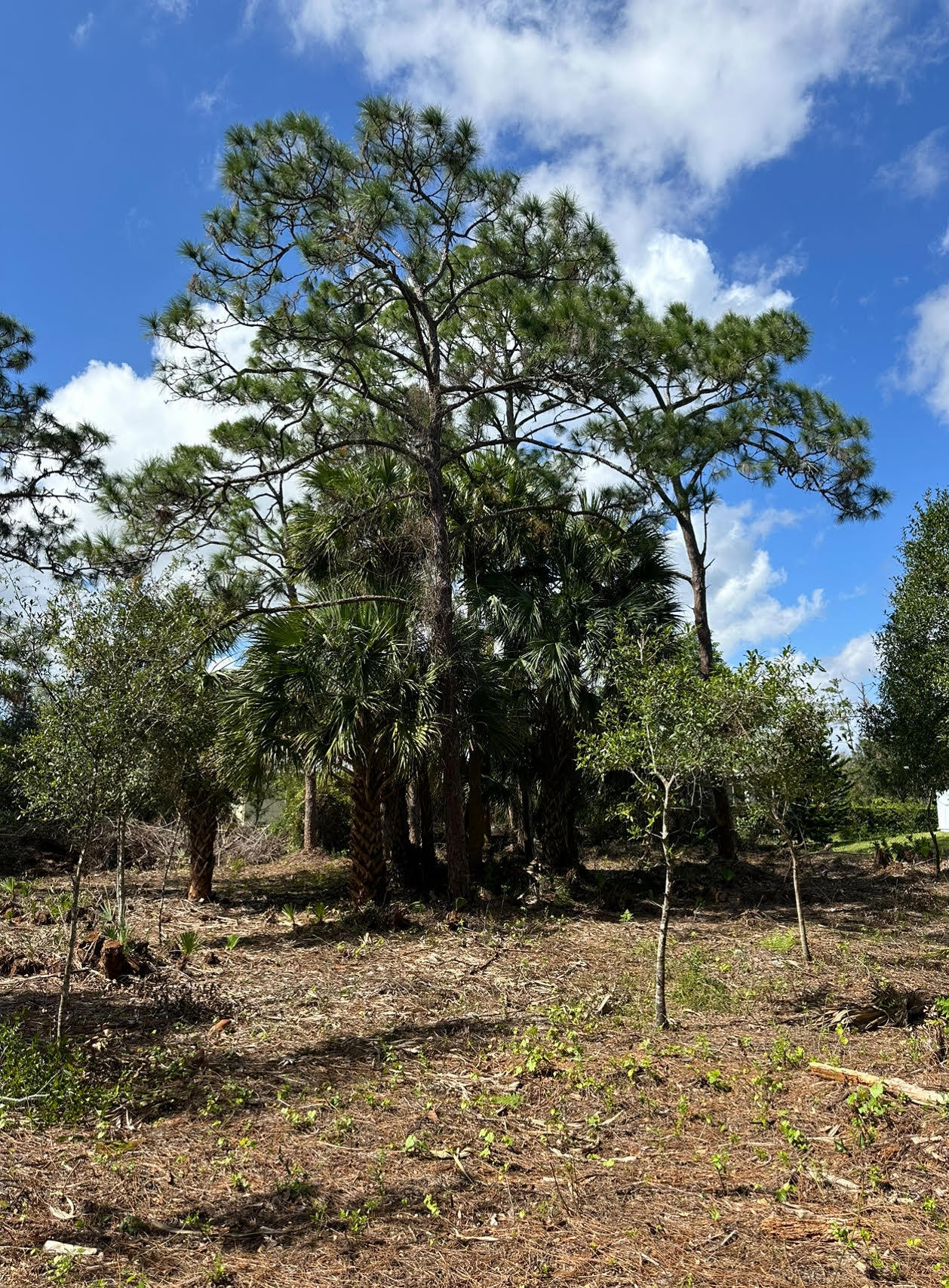 VERO LAKE ESTATES UNIT H-4 - Land