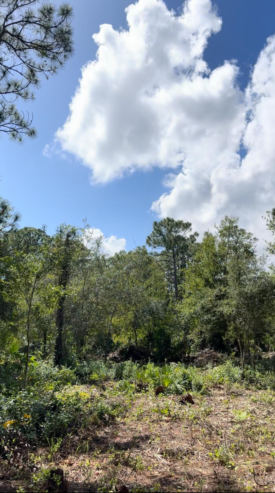 VERO LAKE ESTATES UNIT H-4 - Land