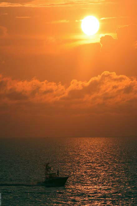 SEASPRAY ESTATES DELRAY BCH - Residential