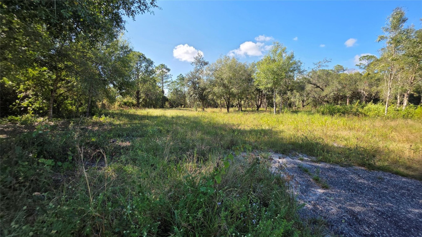 Montura Ranch - Land