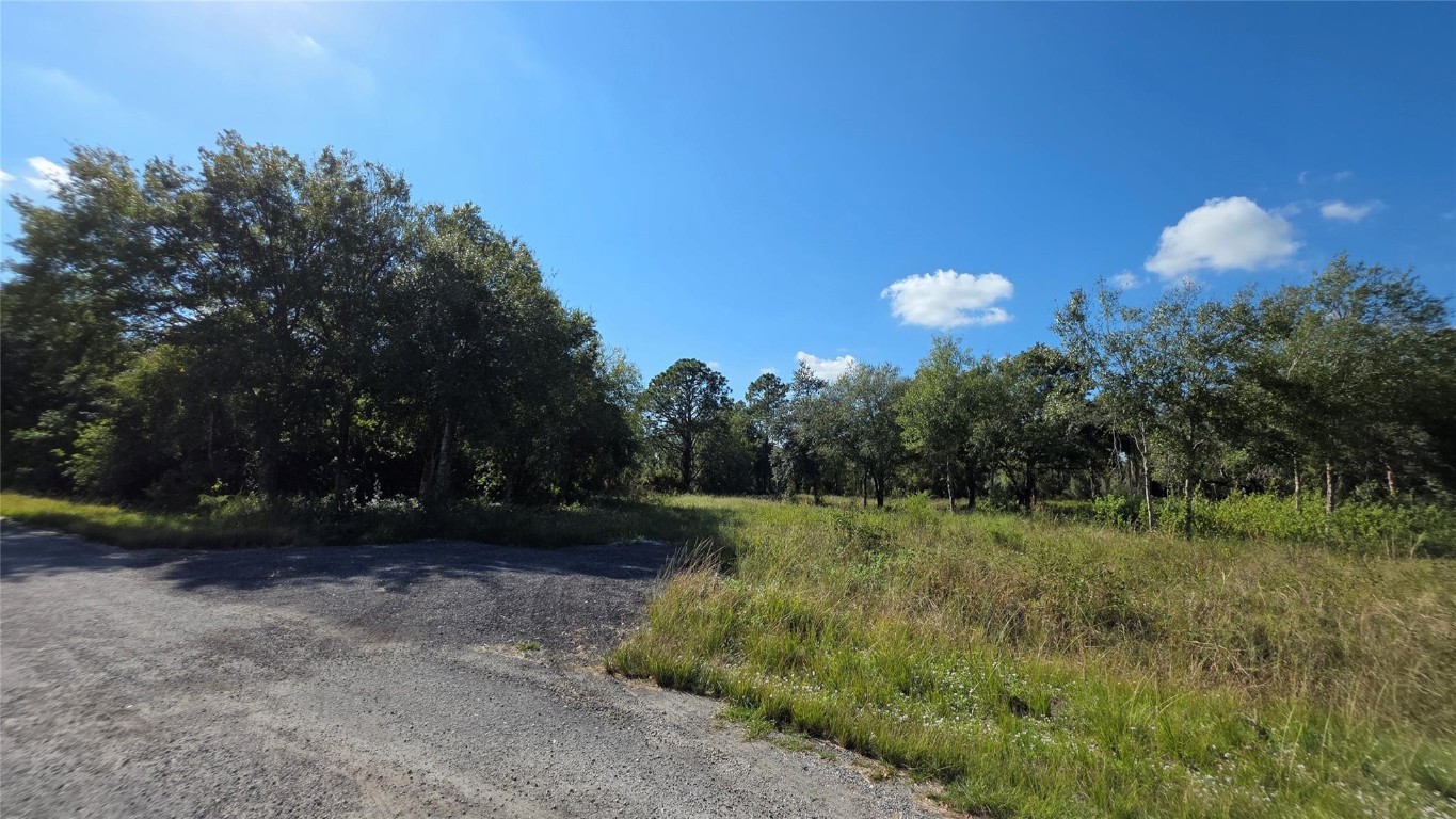 Montura Ranch - Land