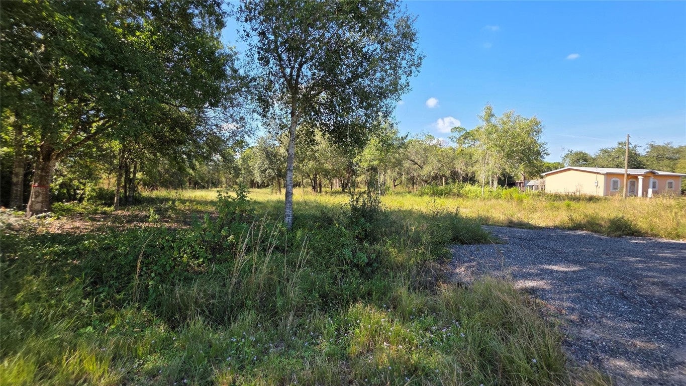 Montura Ranch - Land