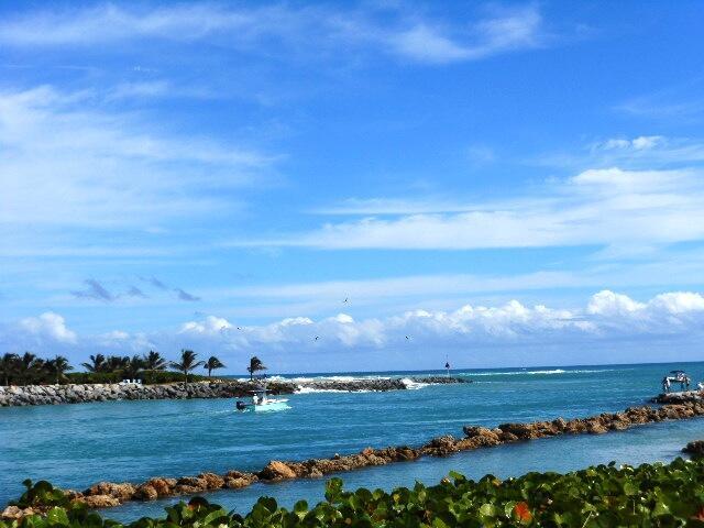 MARINA AT THE BLUFFS CONDO - Residential