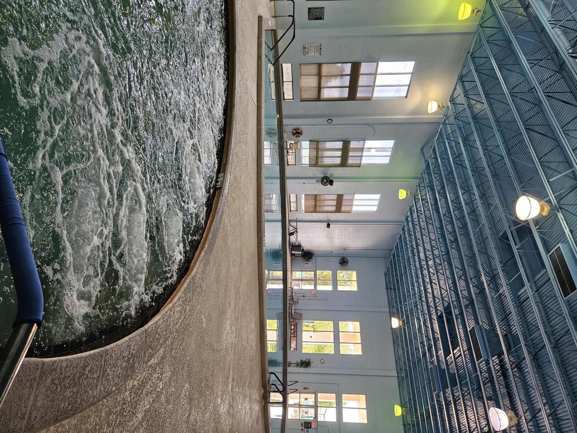 TRENT CONDOMINIUM - Residential
