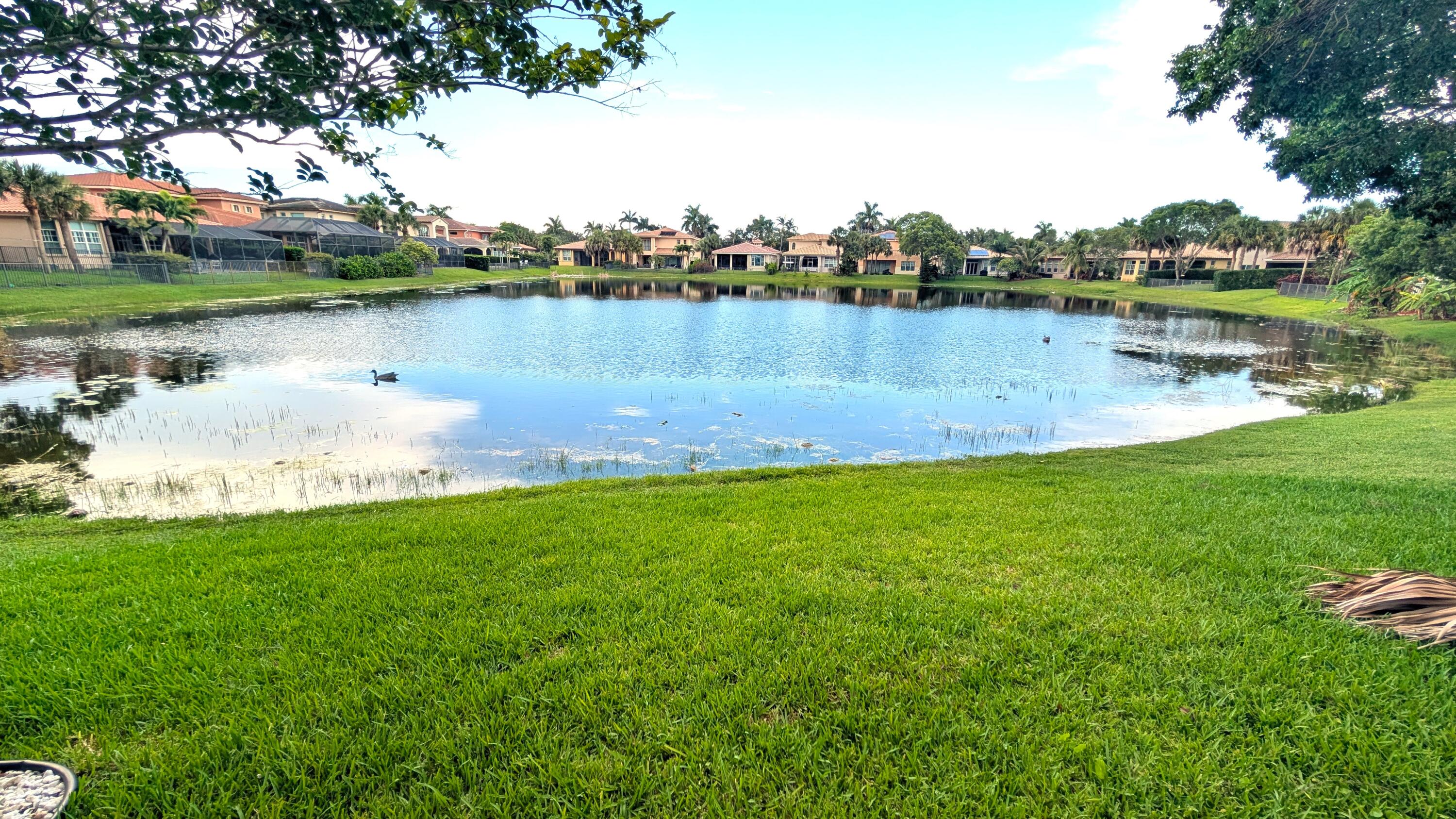 HERON BAY NORTHEAST - Residential
