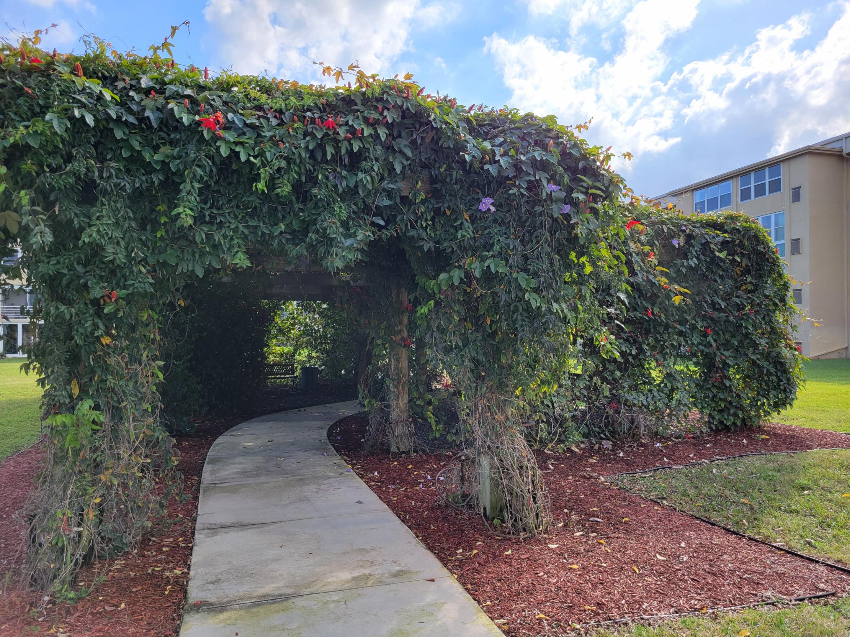 VILLAGE ROYALE FOREST GREEN CONDO - Residential